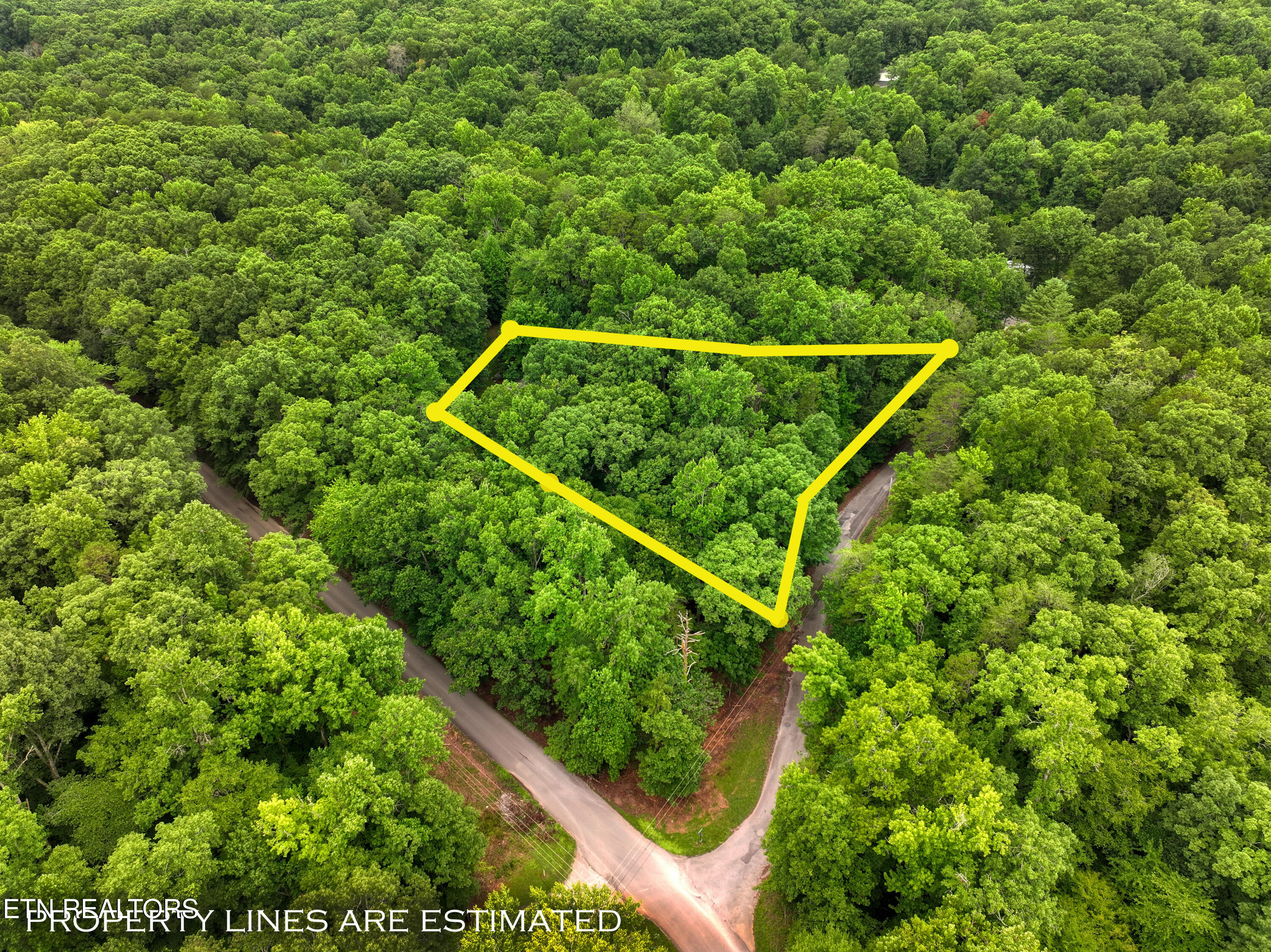 Lake Overlook Drive Rockwood TN 37854