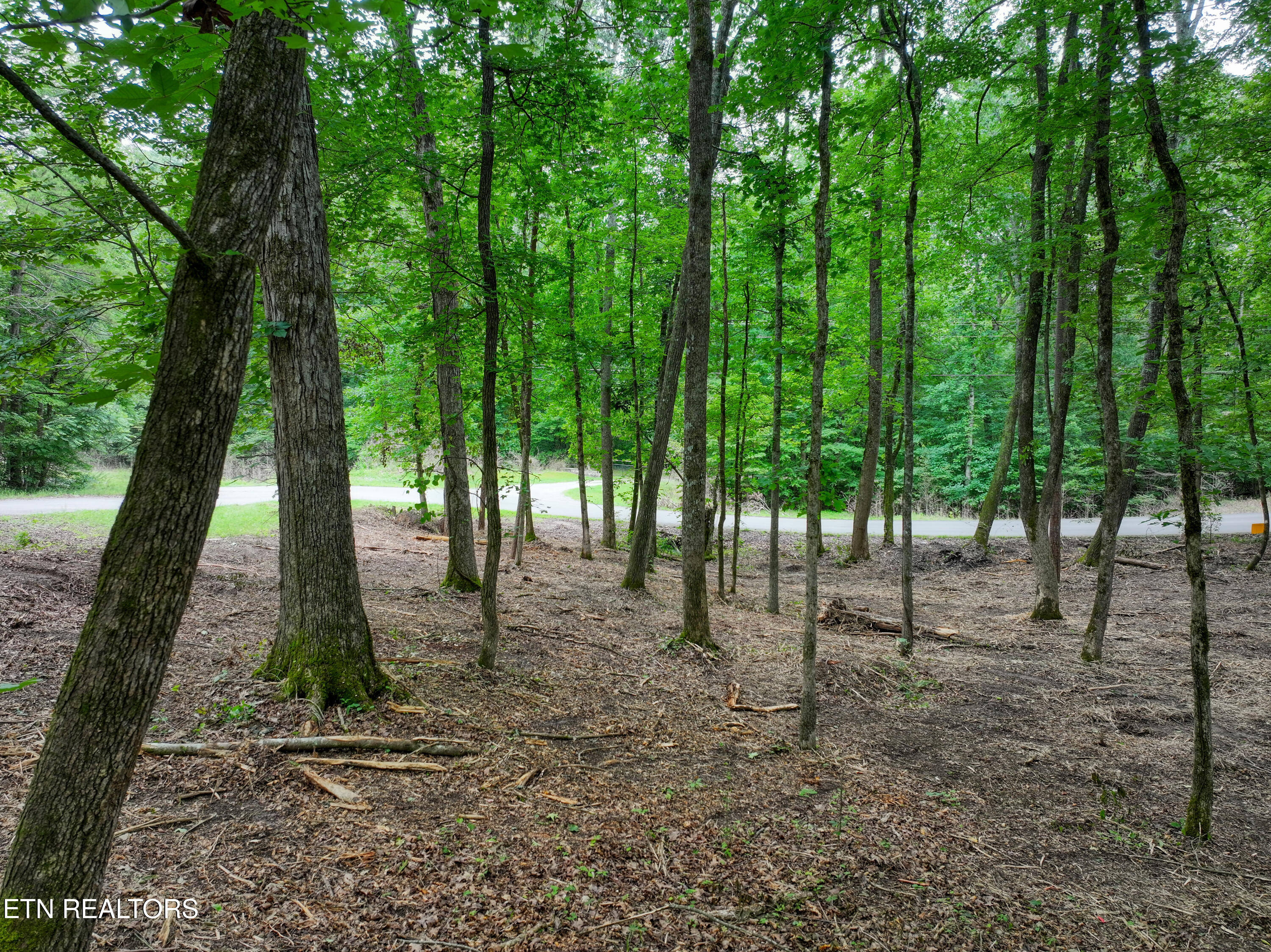 Lake Overlook Drive Rockwood TN 37854