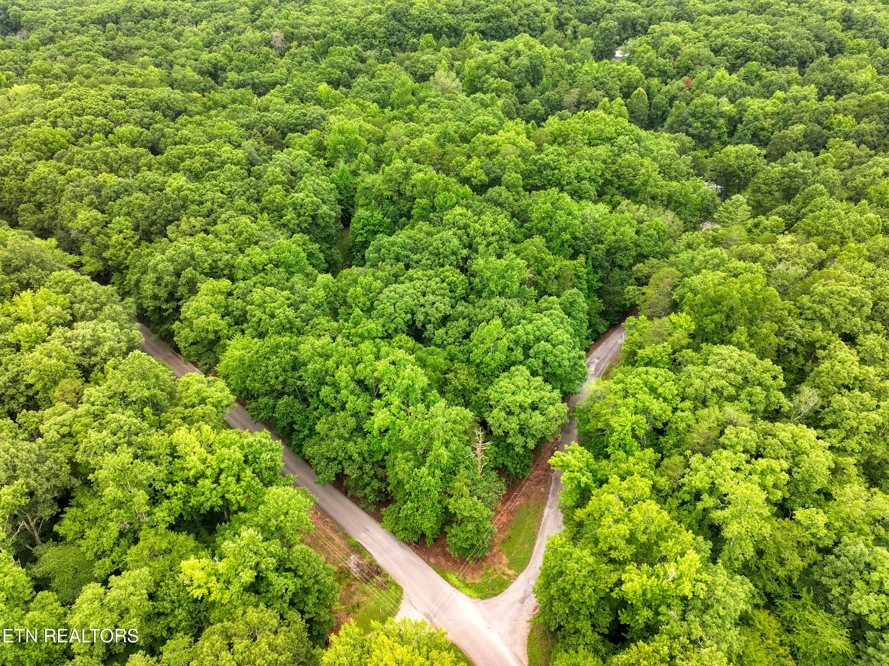 Lake Overlook Drive Rockwood TN 37854