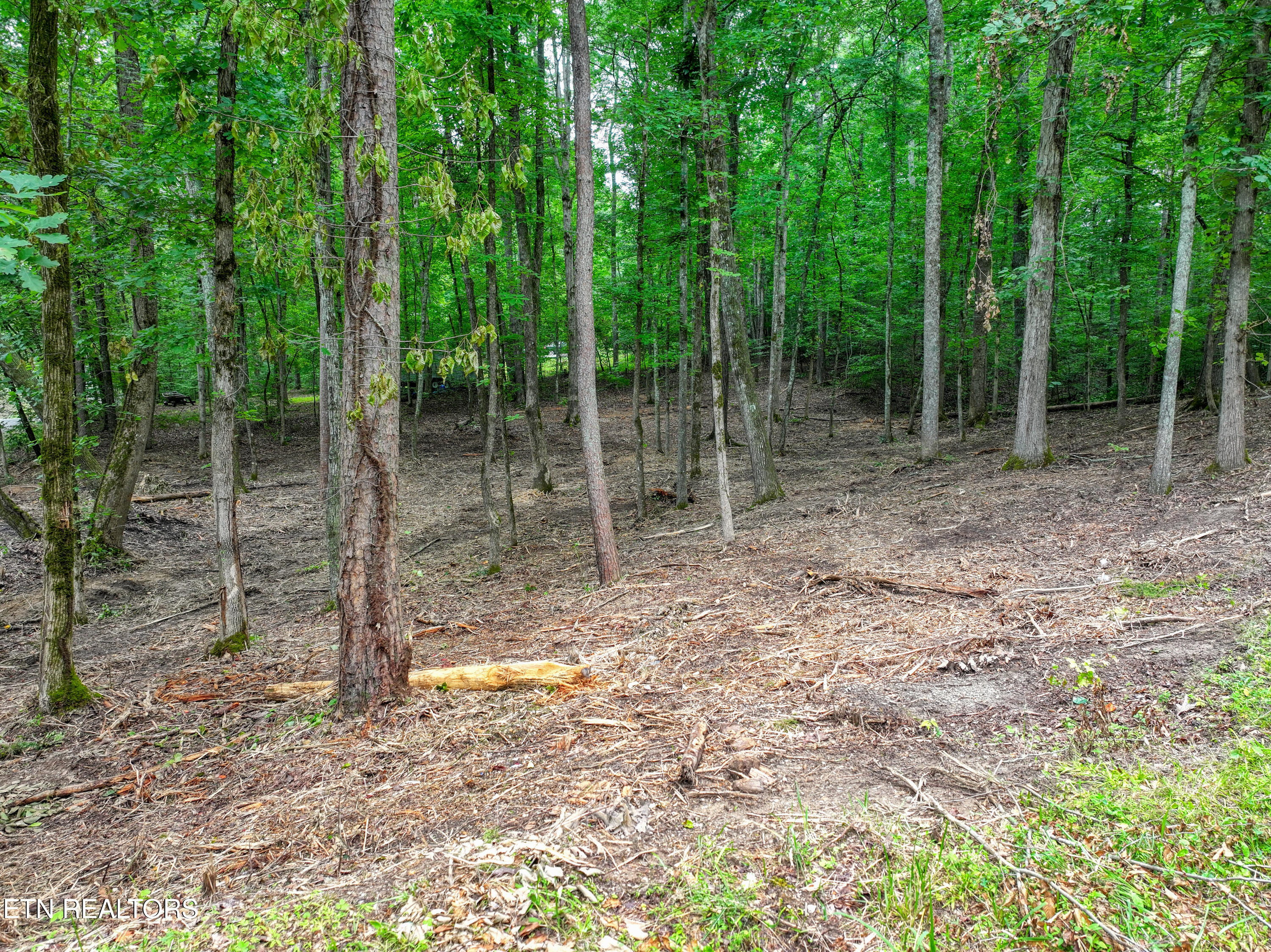 Lake Overlook Drive Rockwood TN 37854