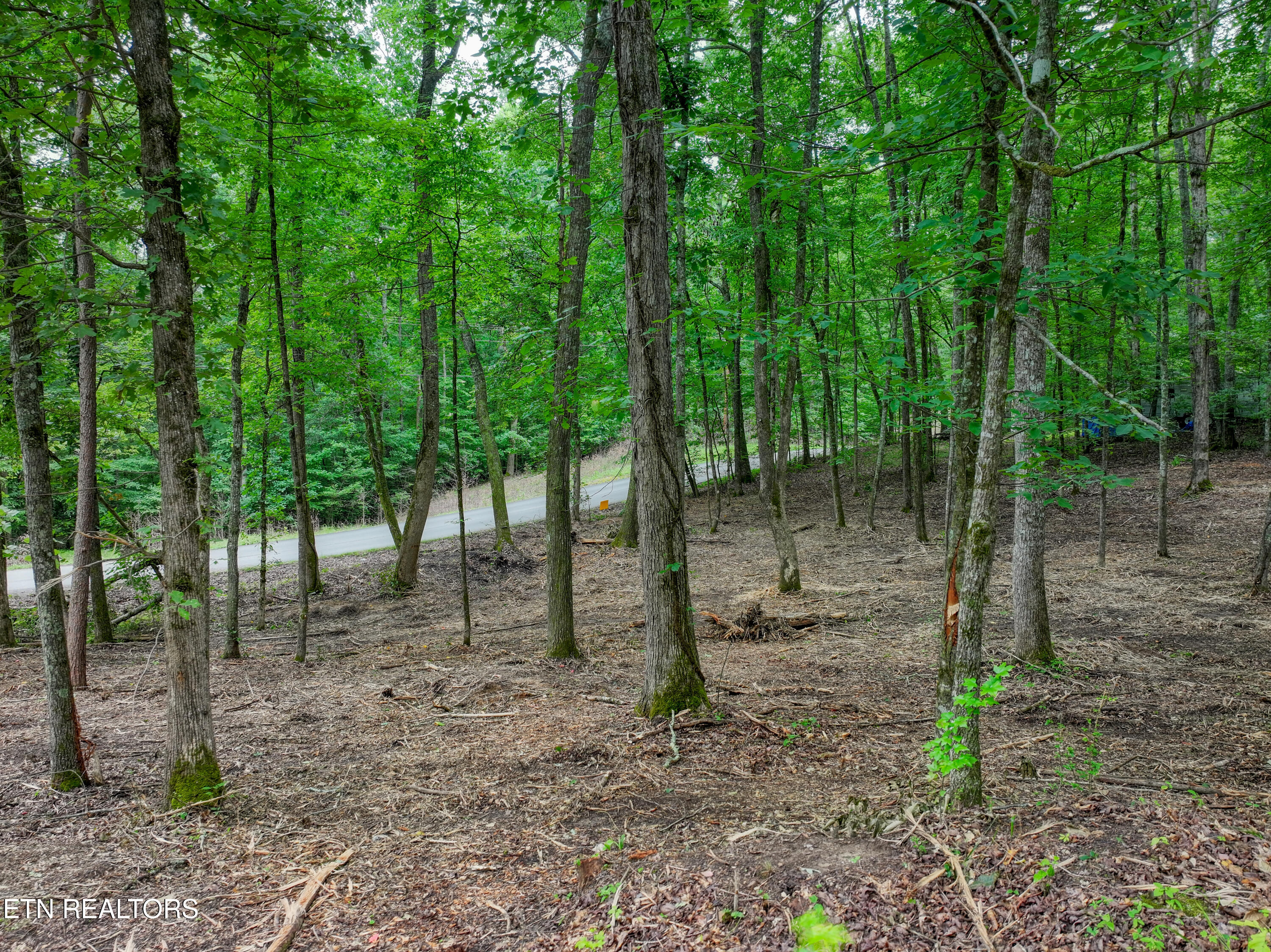 Lake Overlook Drive Rockwood TN 37854