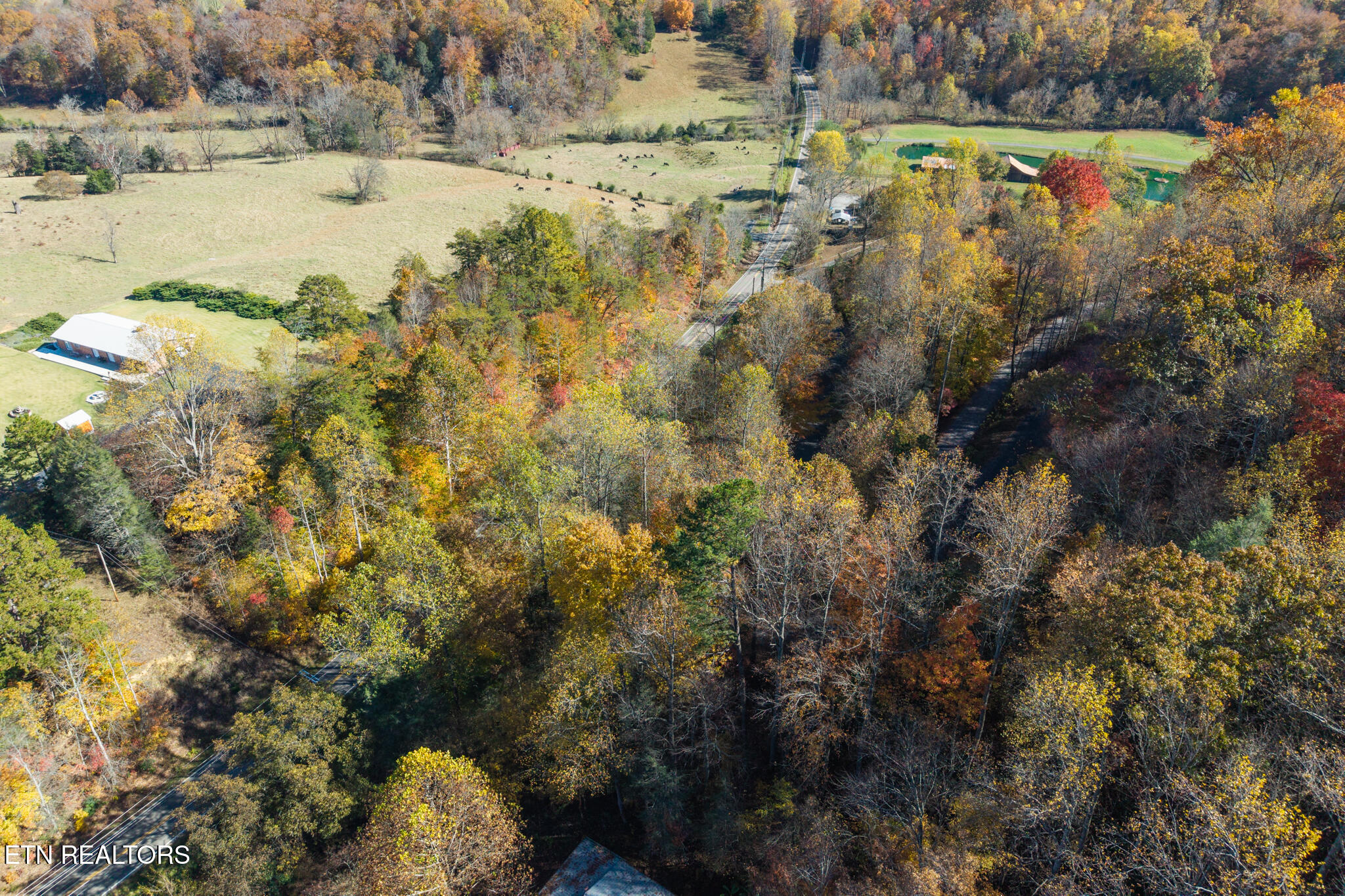 Lot 1 Jones Cove Road Cosby TN 37722
