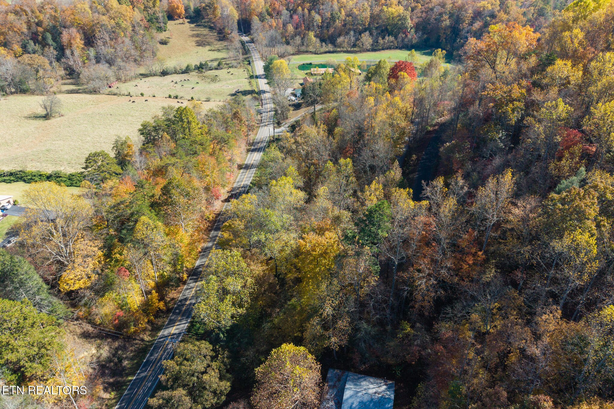 Lot 1 Jones Cove Road Cosby TN 37722