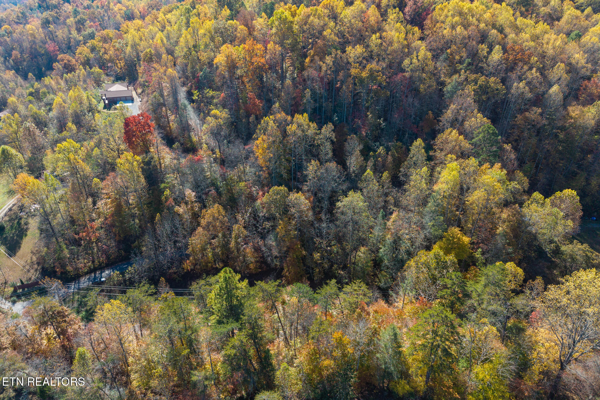 Lot 1 Jones Cove Road Cosby TN 37722