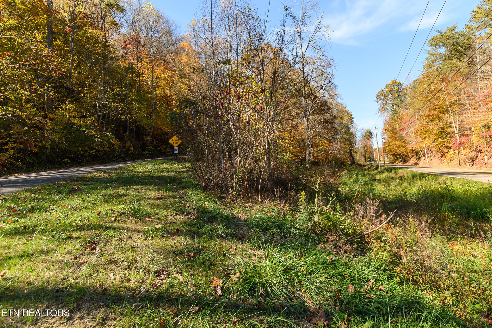 Lot 1 Jones Cove Road Cosby TN 37722