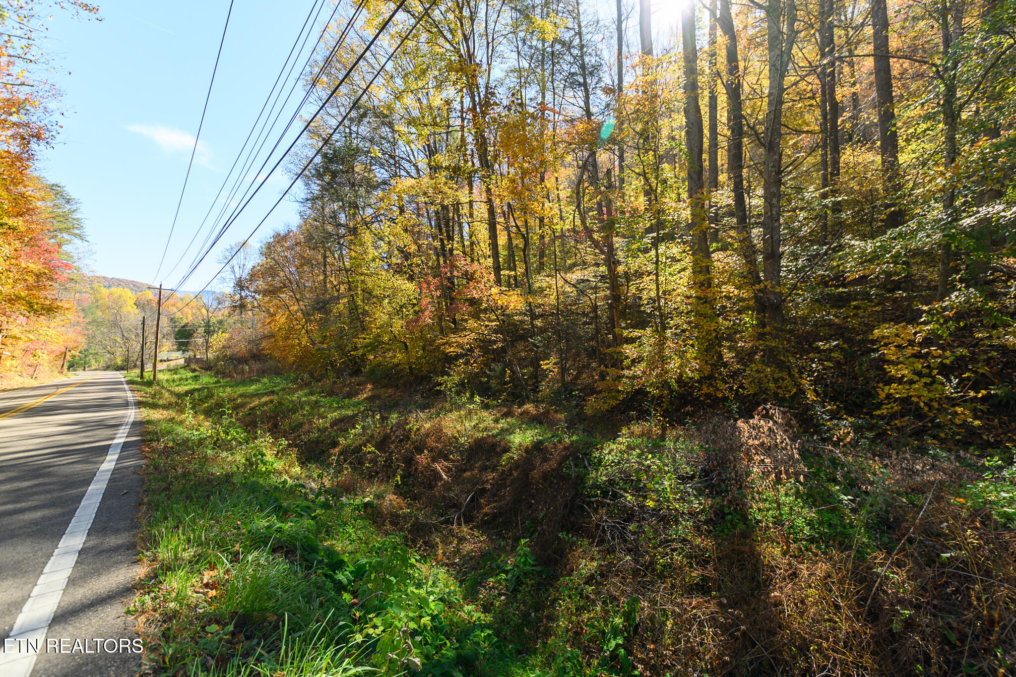 Lot 1 Jones Cove Road Cosby TN 37722