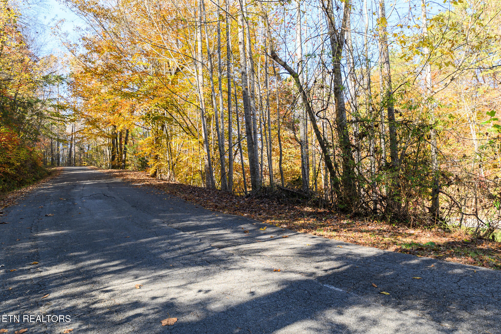 Lot 1 Jones Cove Road Cosby TN 37722