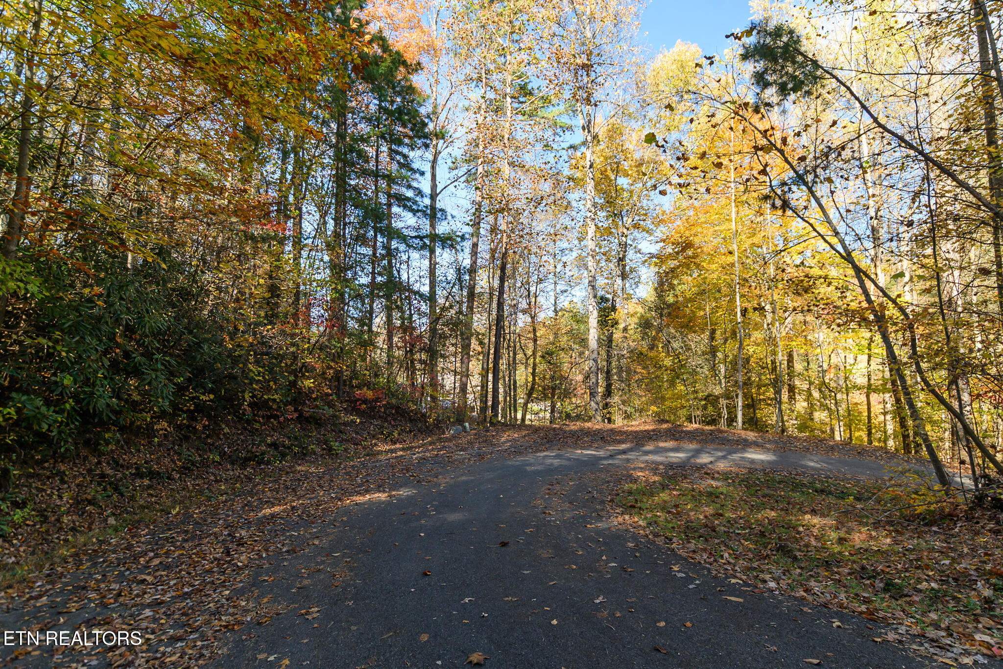 Lot 1 Jones Cove Road Cosby TN 37722
