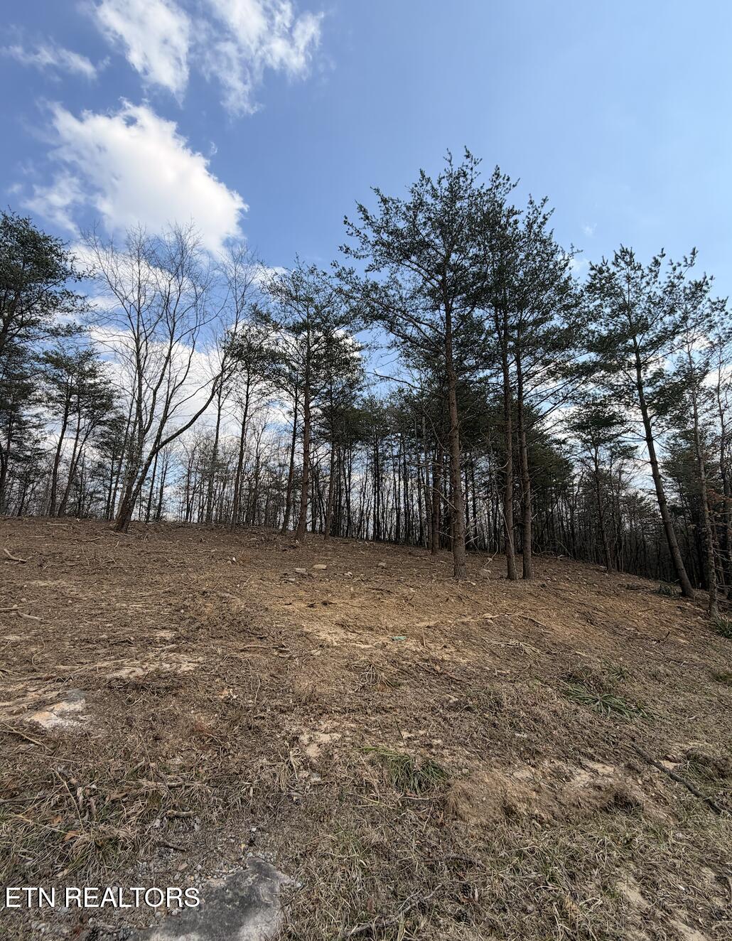 Lot 3 Claysville Road Crossville TN 38571