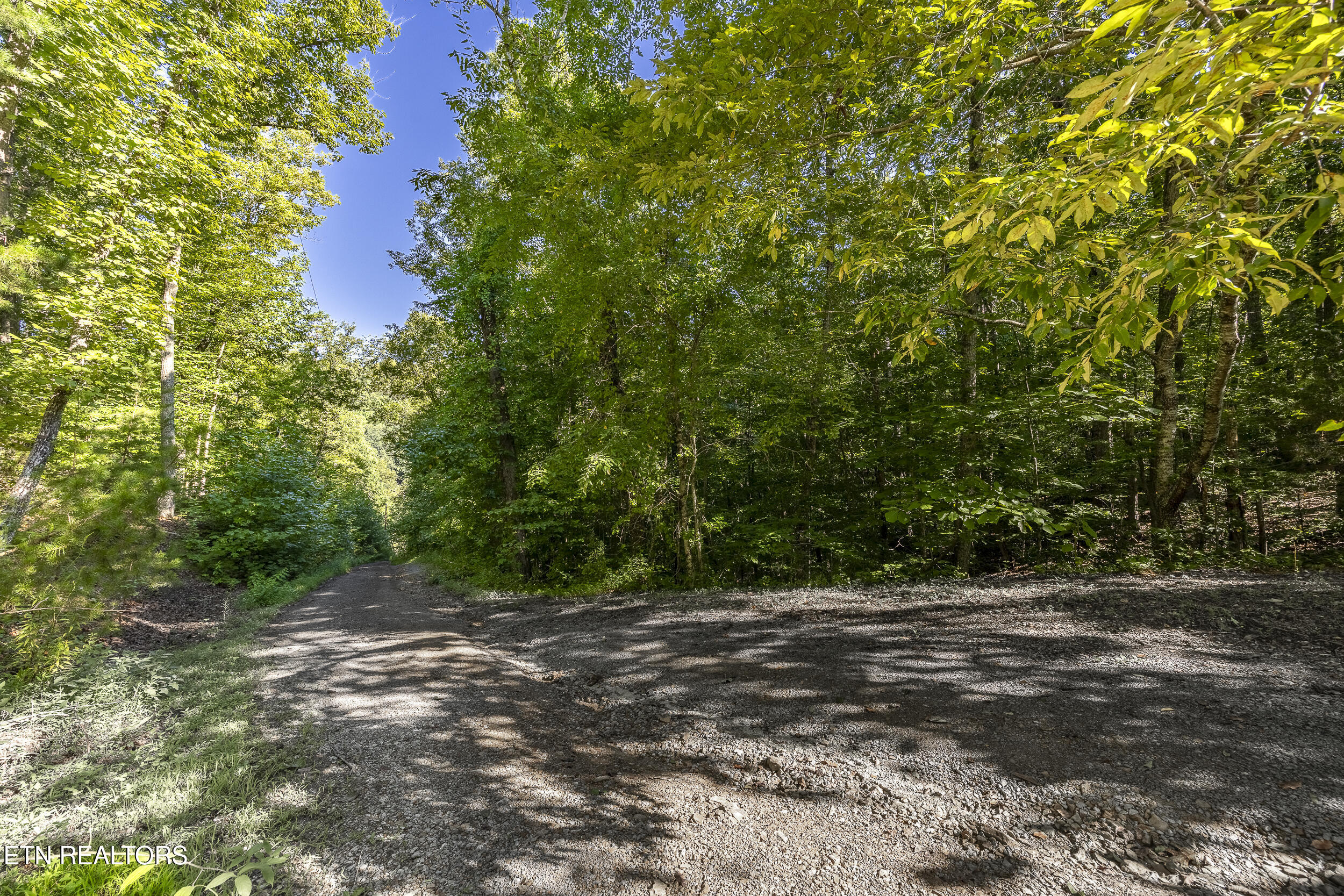 240 Lone Mountain Road Andersonville TN 37705