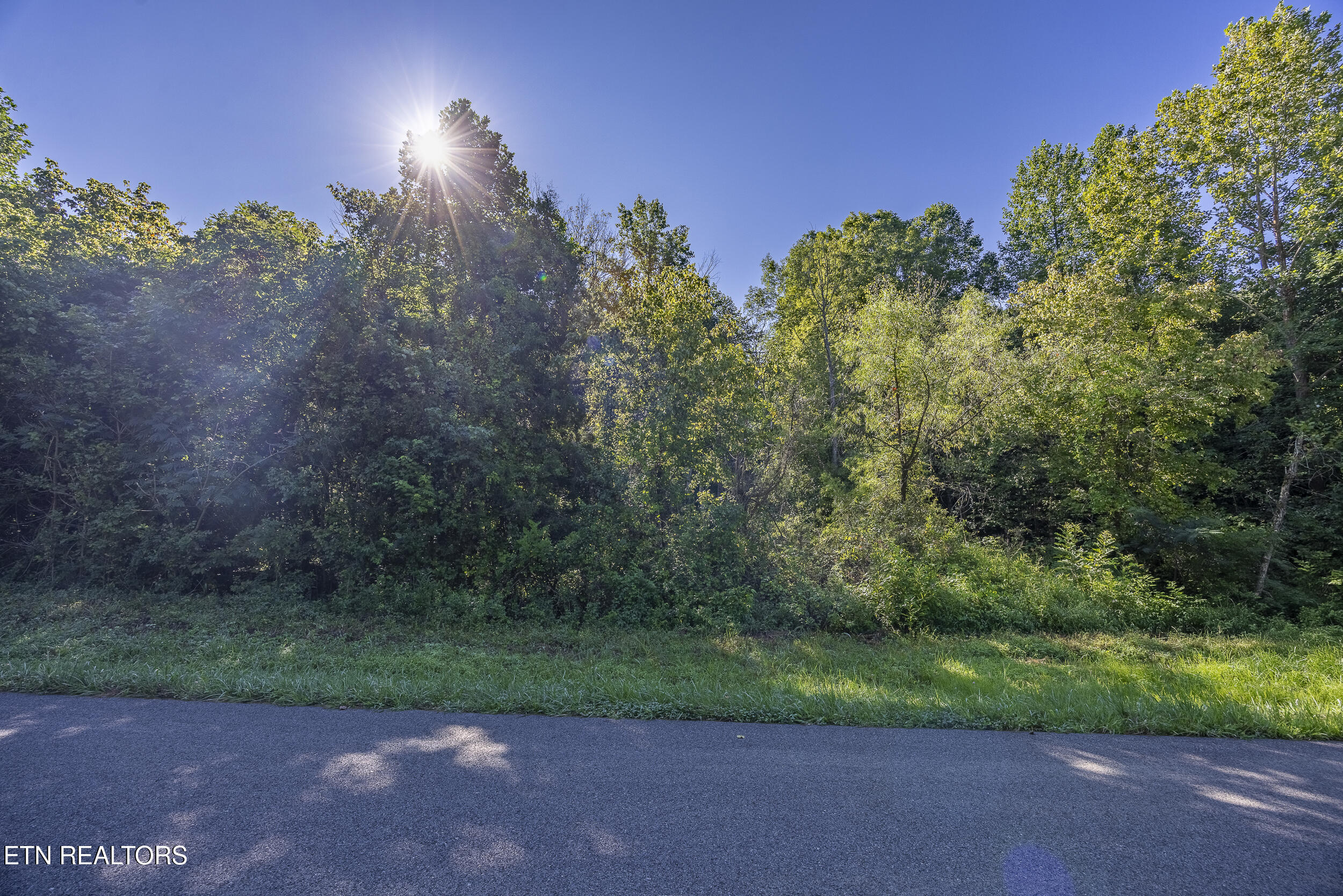 240 Lone Mountain Road Andersonville TN 37705