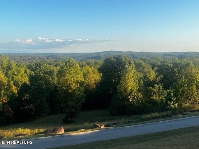 158 Highland Reserve Way Kingston TN 37763