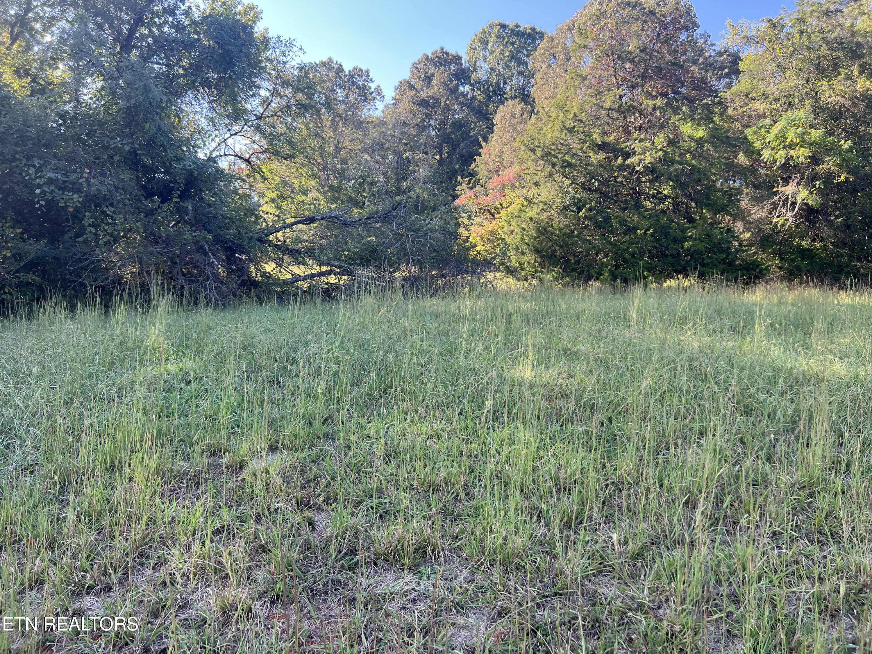Lot 34 Goodfield Terrace Decatur TN 37322