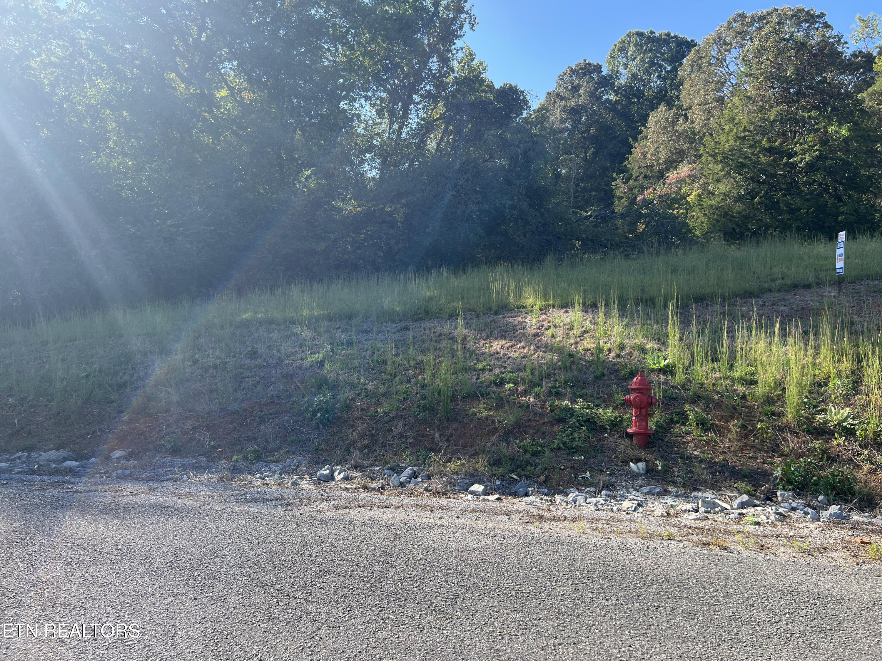 Lot 34 Goodfield Terrace Decatur TN 37322