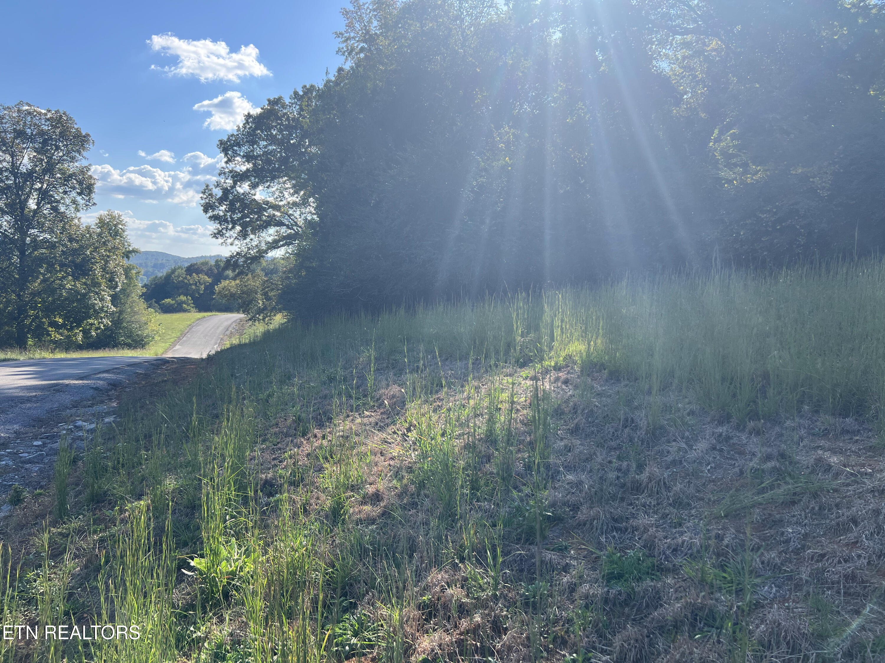 Lot 34 Goodfield Terrace Decatur TN 37322