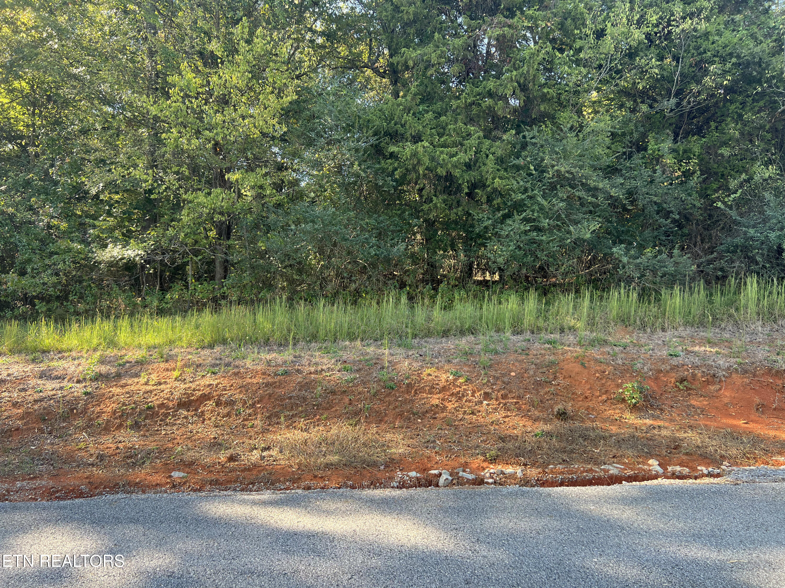 Lot 34 Goodfield Terrace Decatur TN 37322