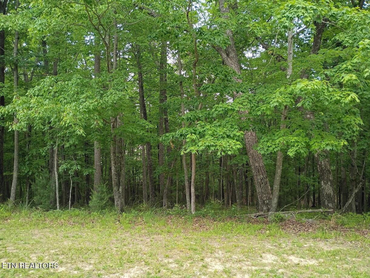 112 Brummel Way Crossville TN 38558