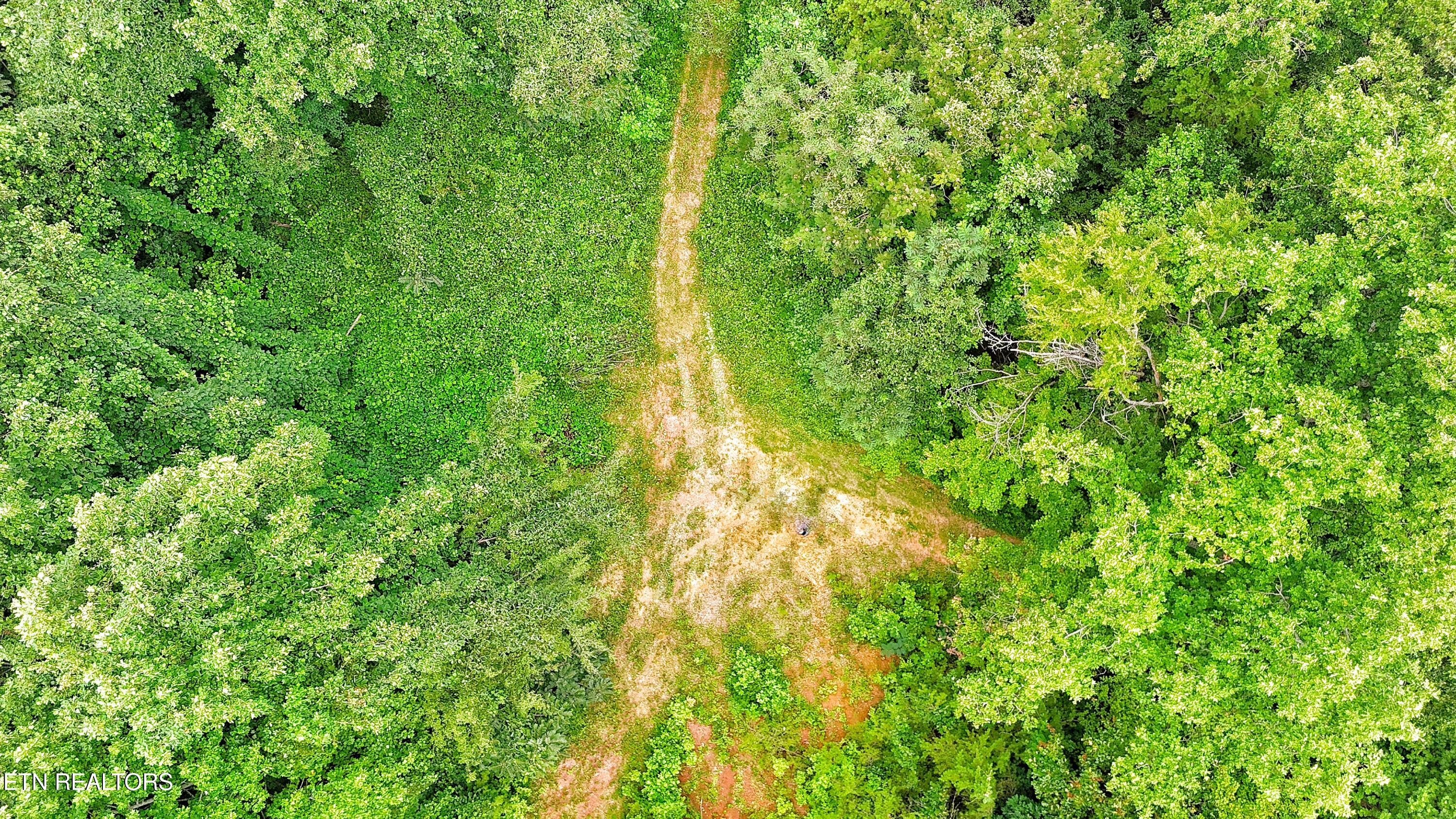 45 Acres S Highway 340 Parrottsville TN 37843