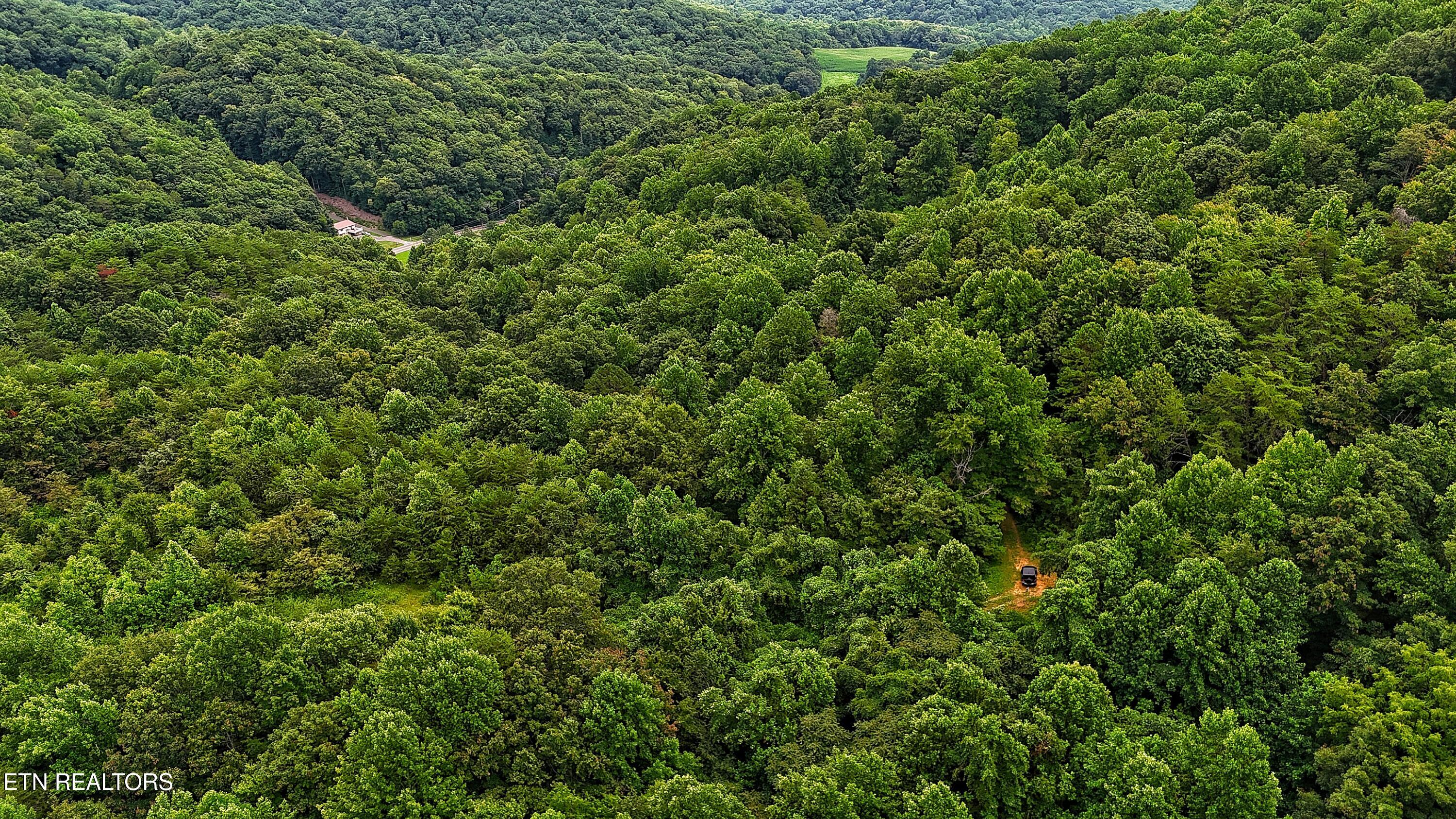 45 Acres S Highway 340 Parrottsville TN 37843