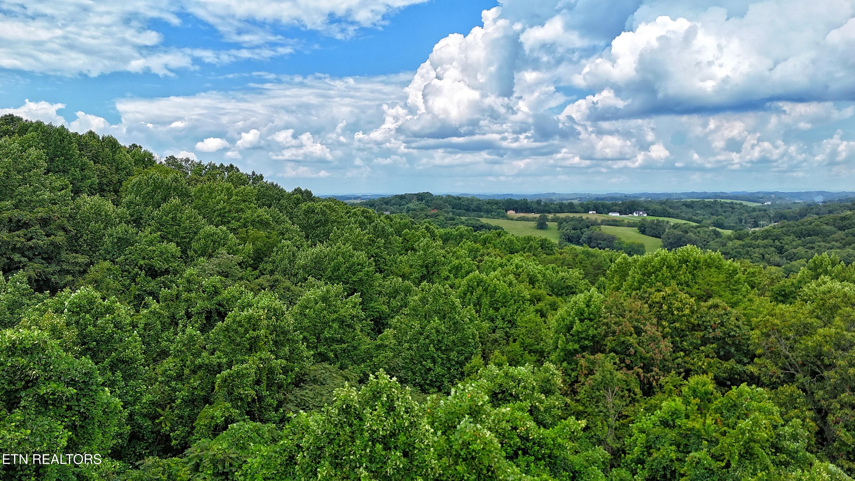 45 Acres S Highway 340 Parrottsville TN 37843
