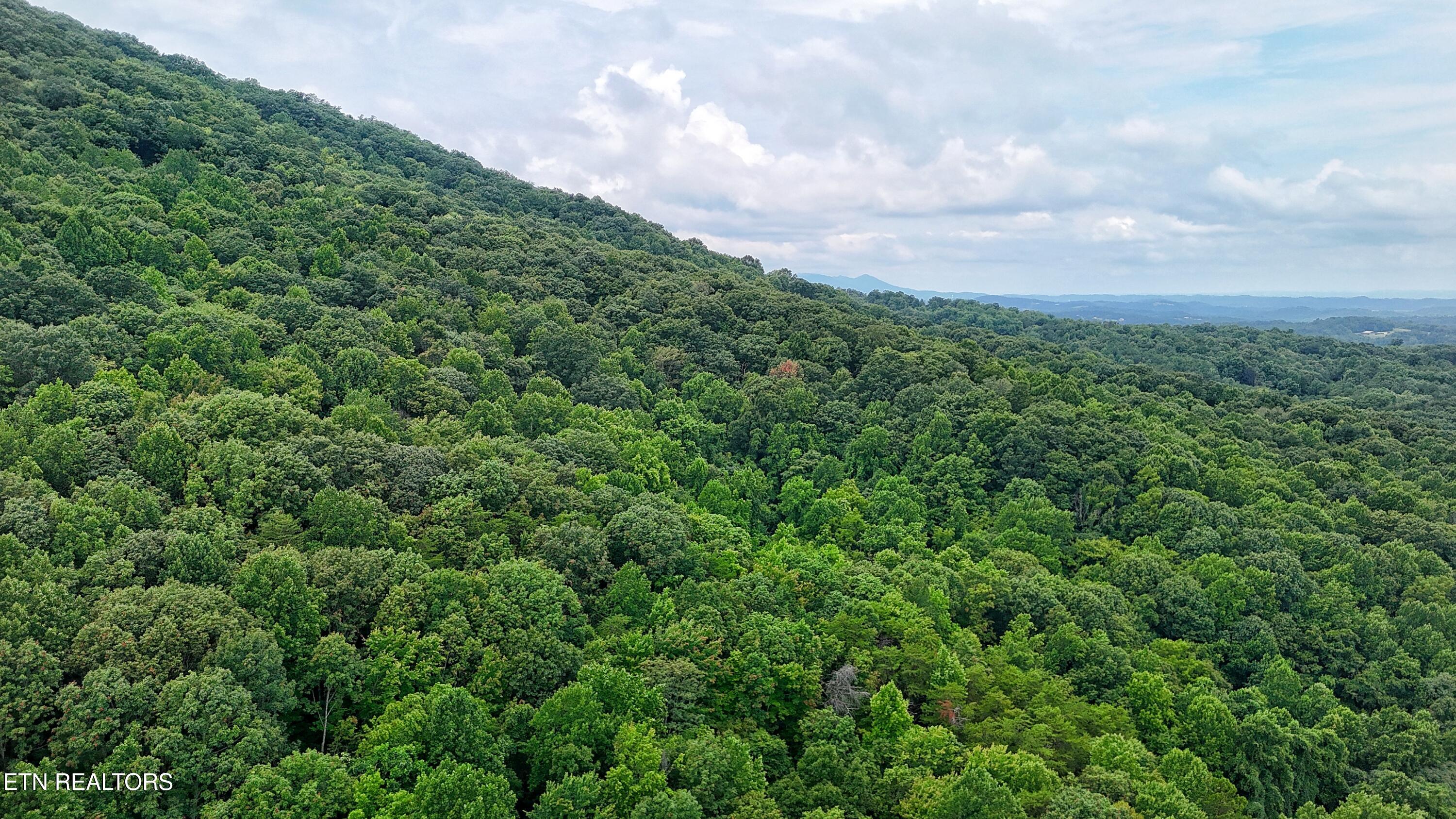 45 Acres S Highway 340 Parrottsville TN 37843