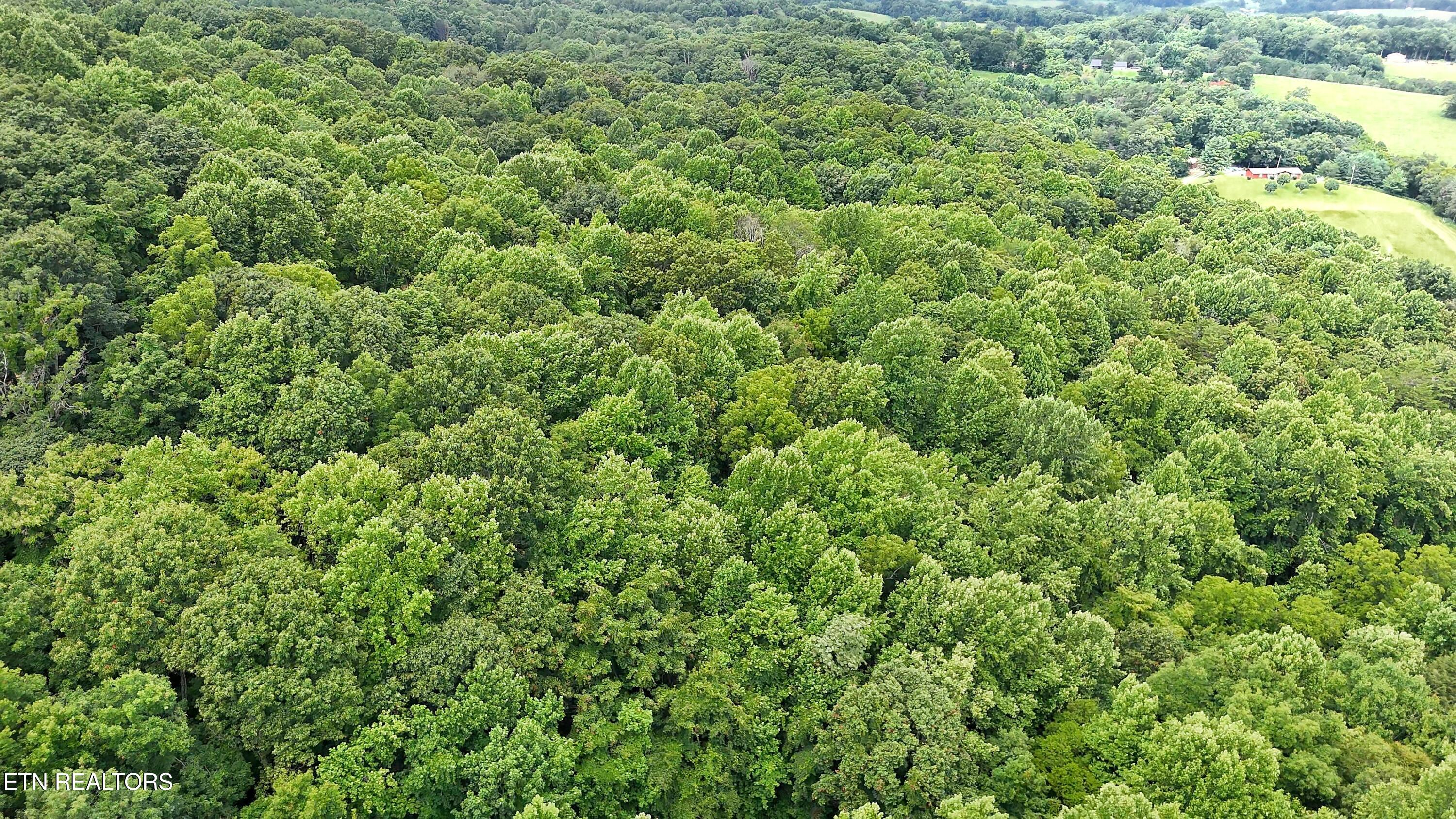45 Acres S Highway 340 Parrottsville TN 37843