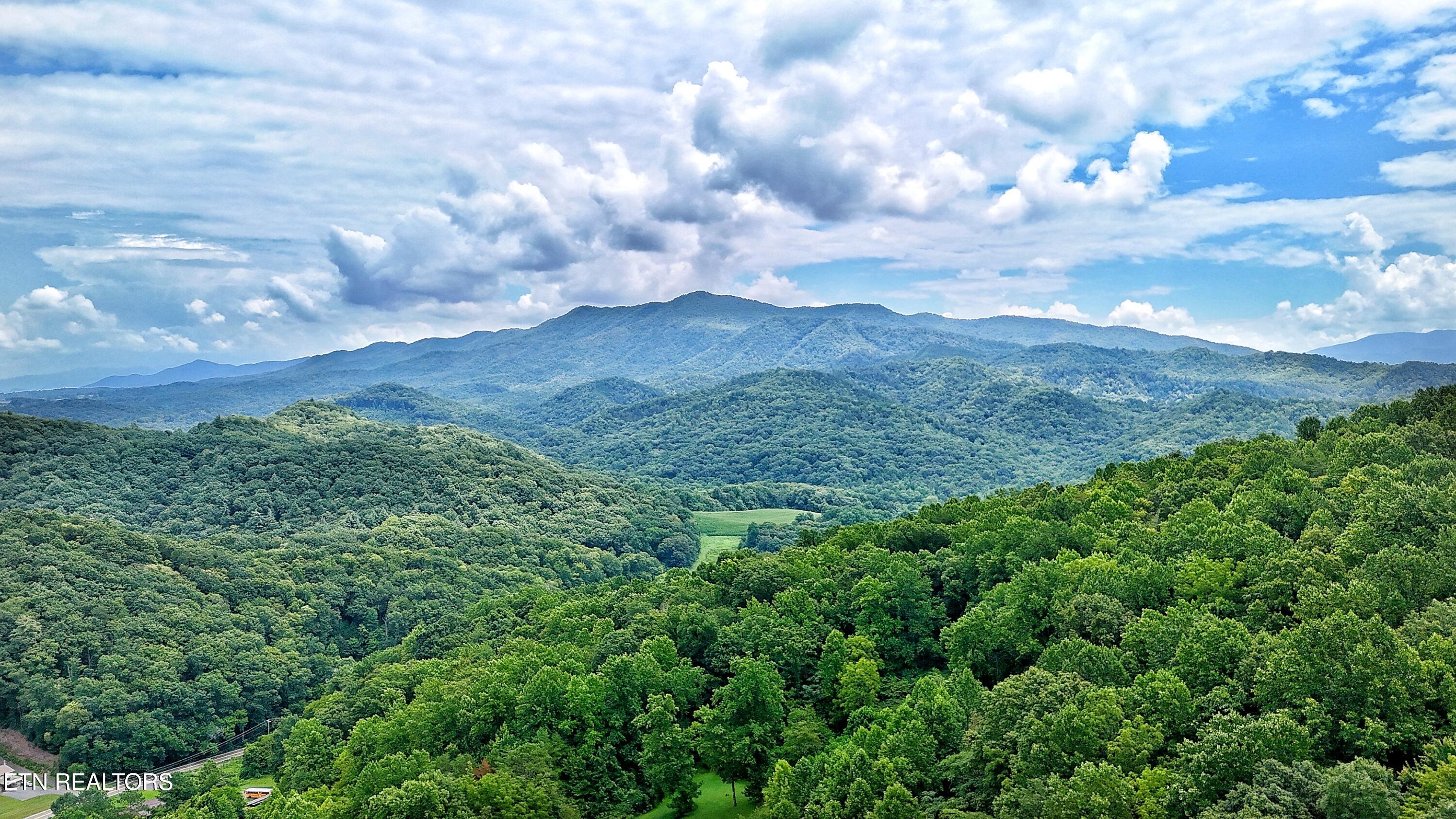45 Acres S Highway 340 Parrottsville TN 37843