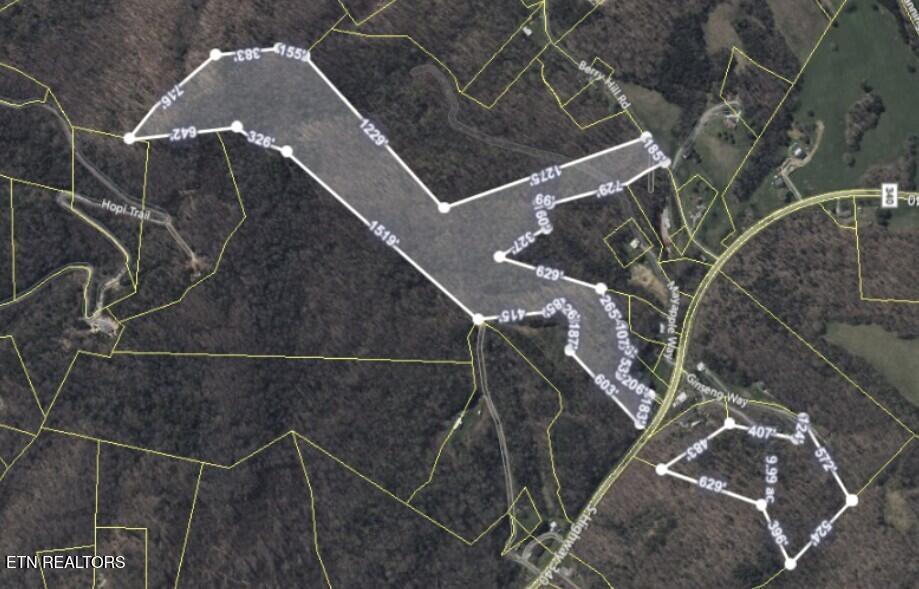 45 Acres S Highway 340 Parrottsville TN 37843