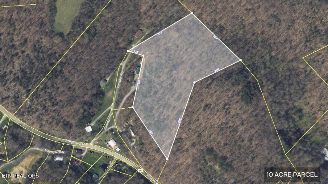 45 Acres S Highway 340 Parrottsville TN 37843