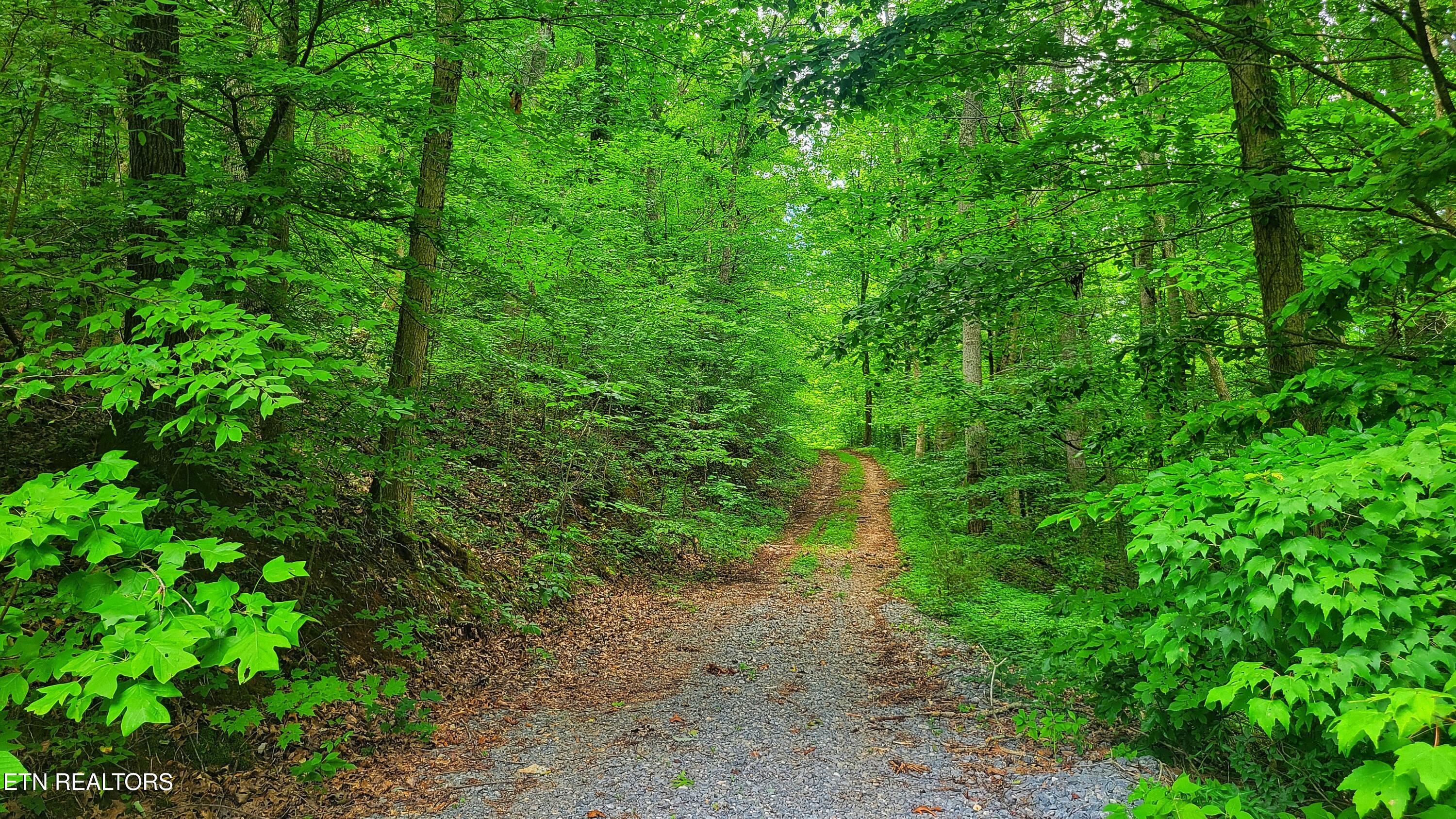 45 Acres S Highway 340 Parrottsville TN 37843
