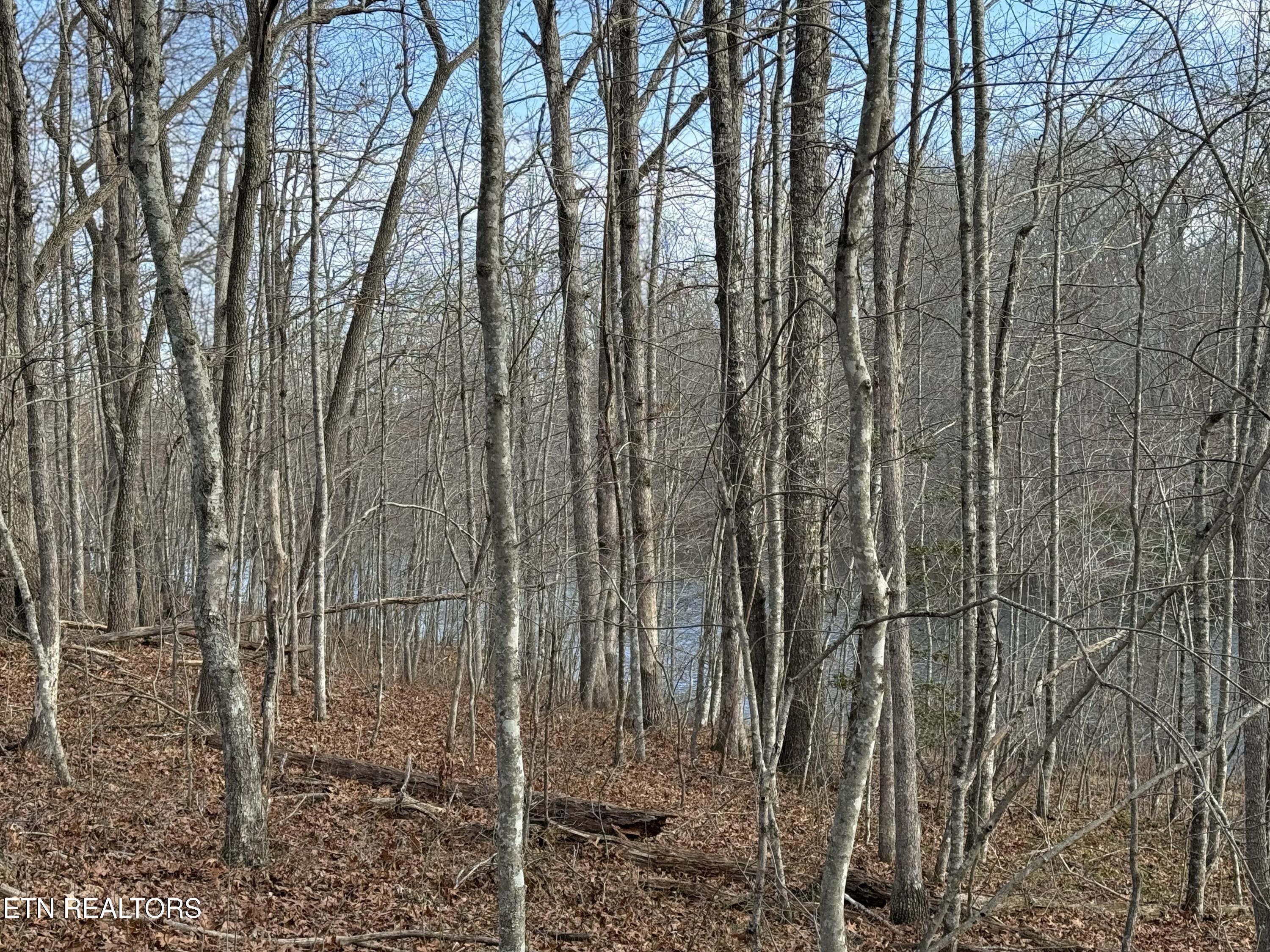 Crystal Point Monterey TN 38574