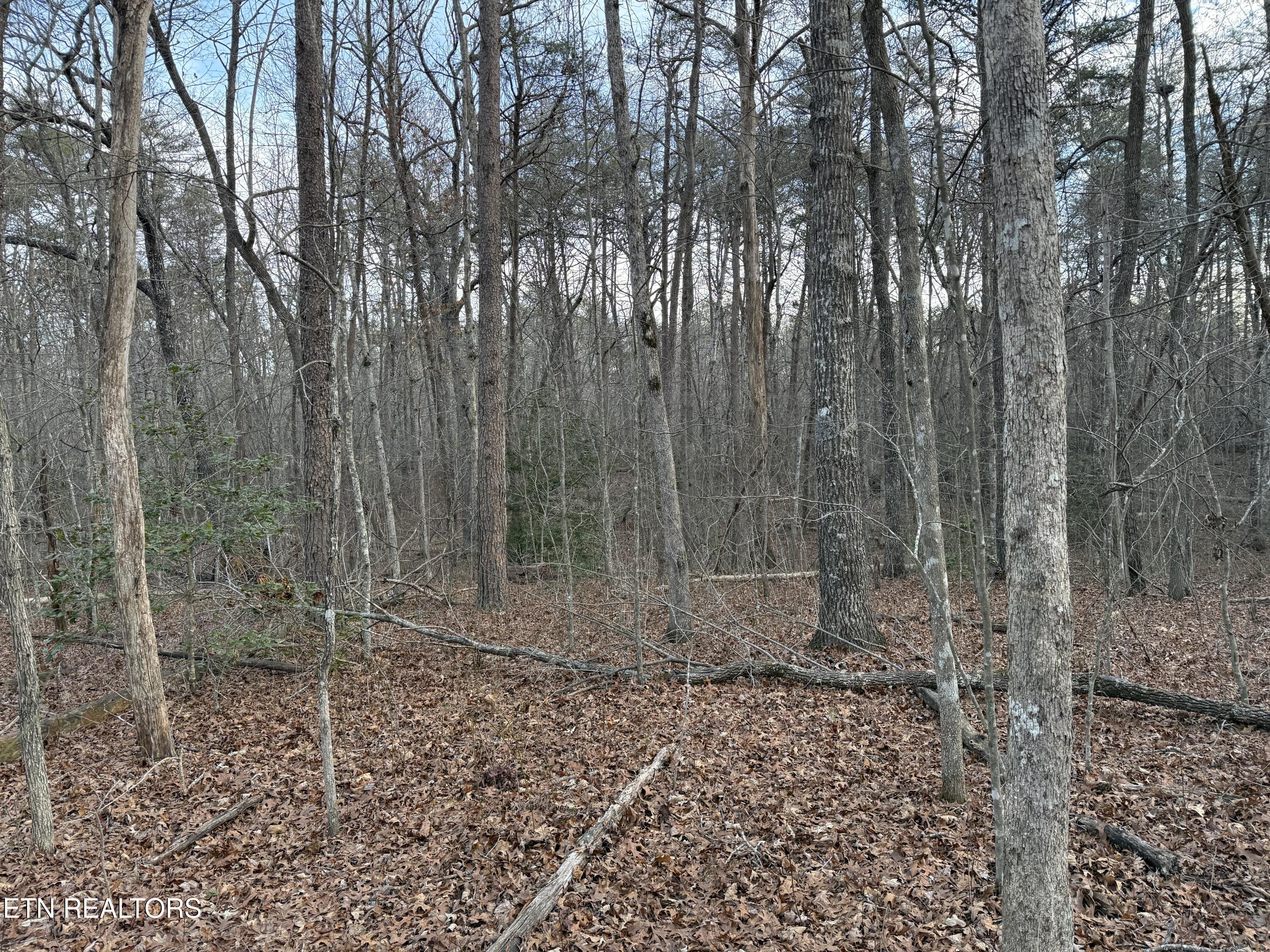 Crystal Point Monterey TN 38574