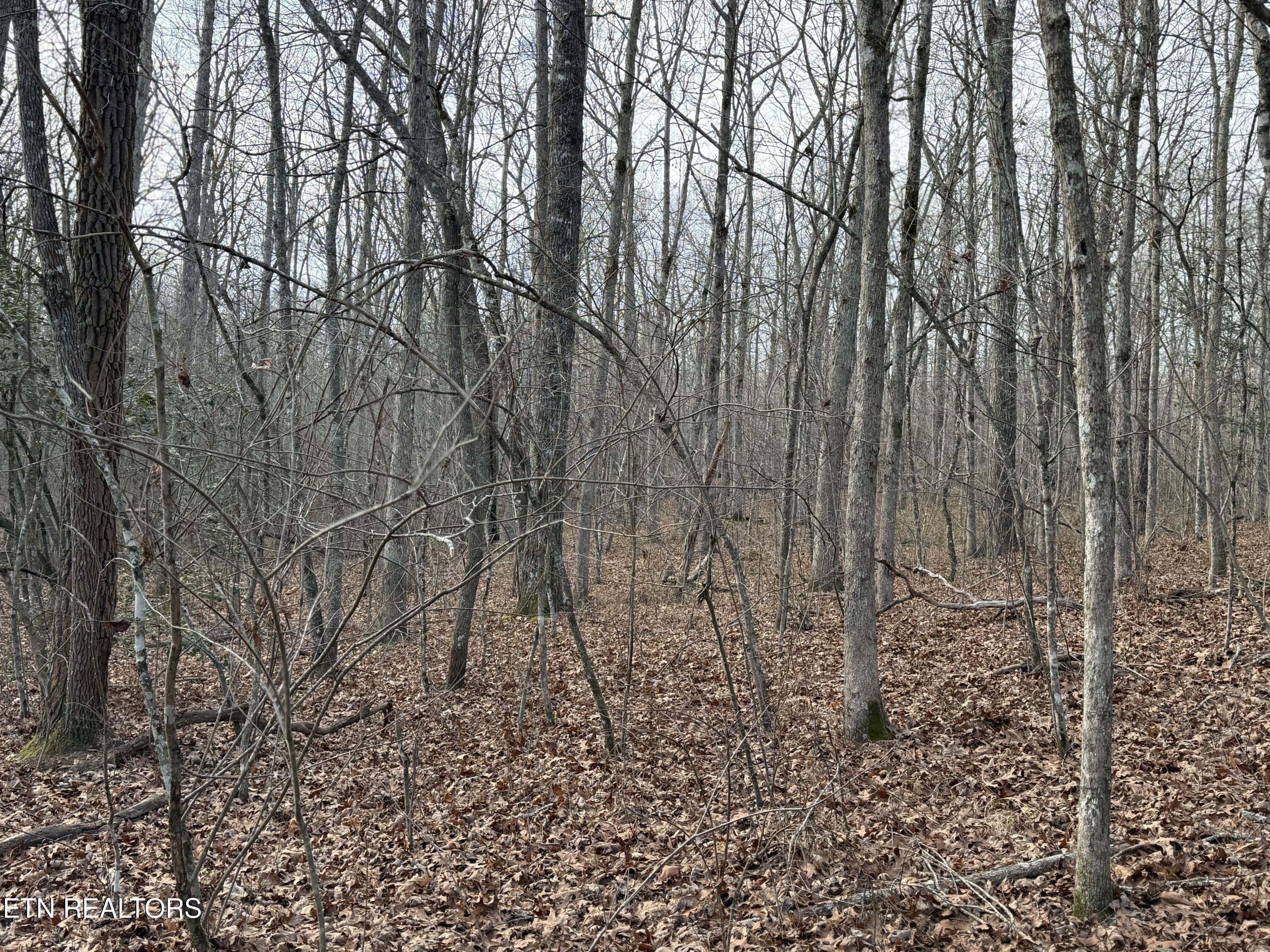 Crystal Point Monterey TN 38574
