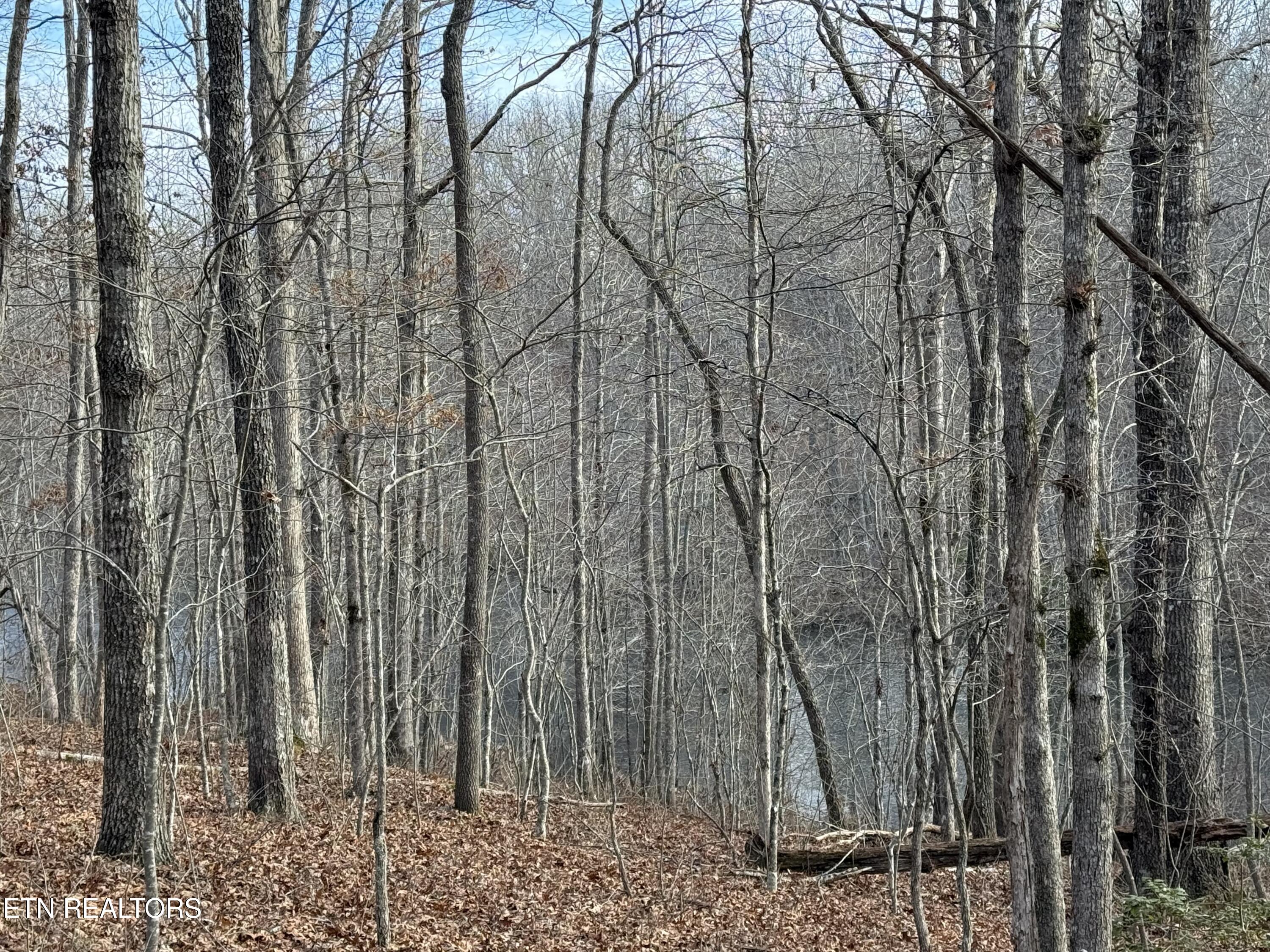 Crystal Point Monterey TN 38574