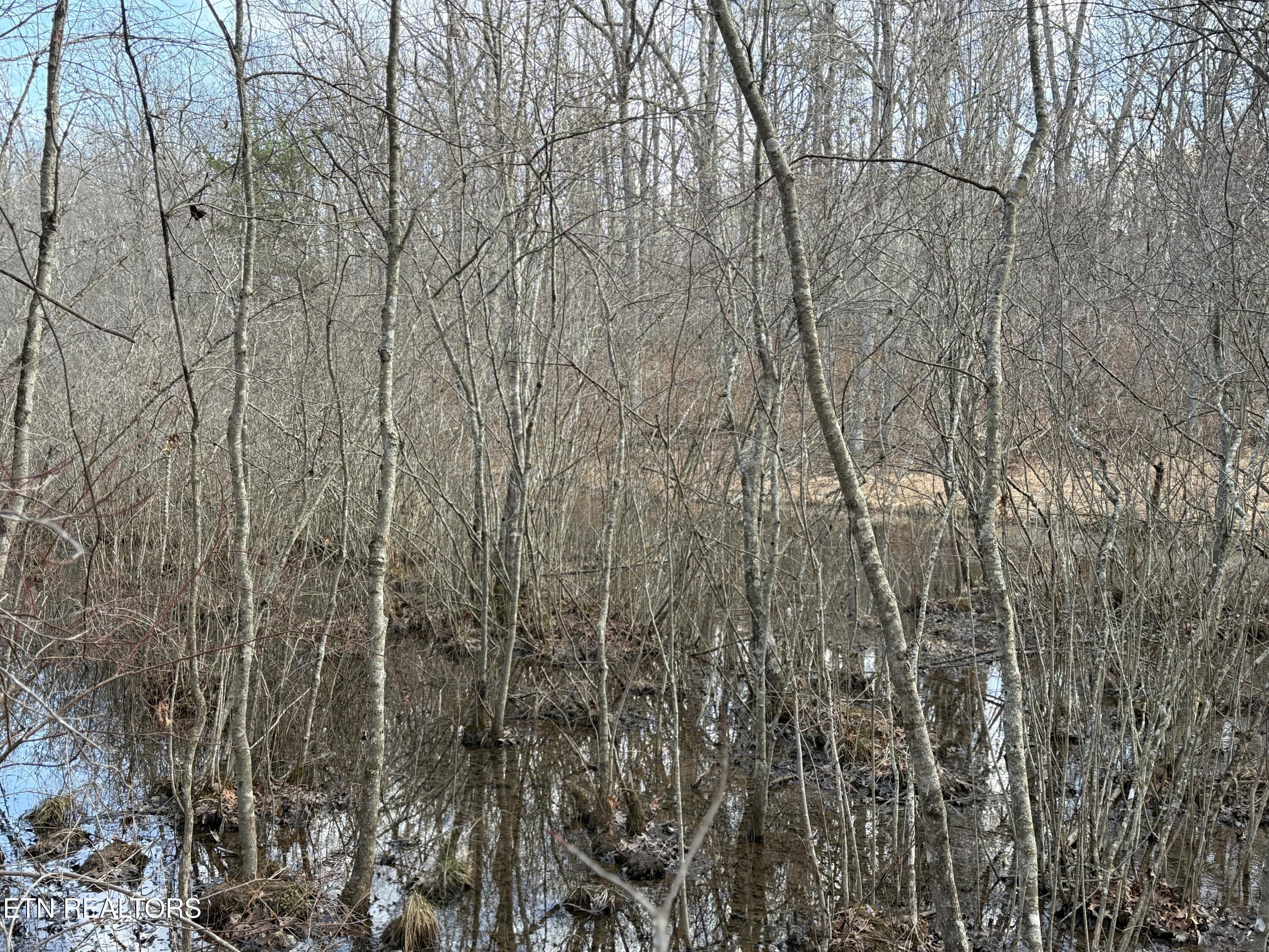 Crystal Point Monterey TN 38574