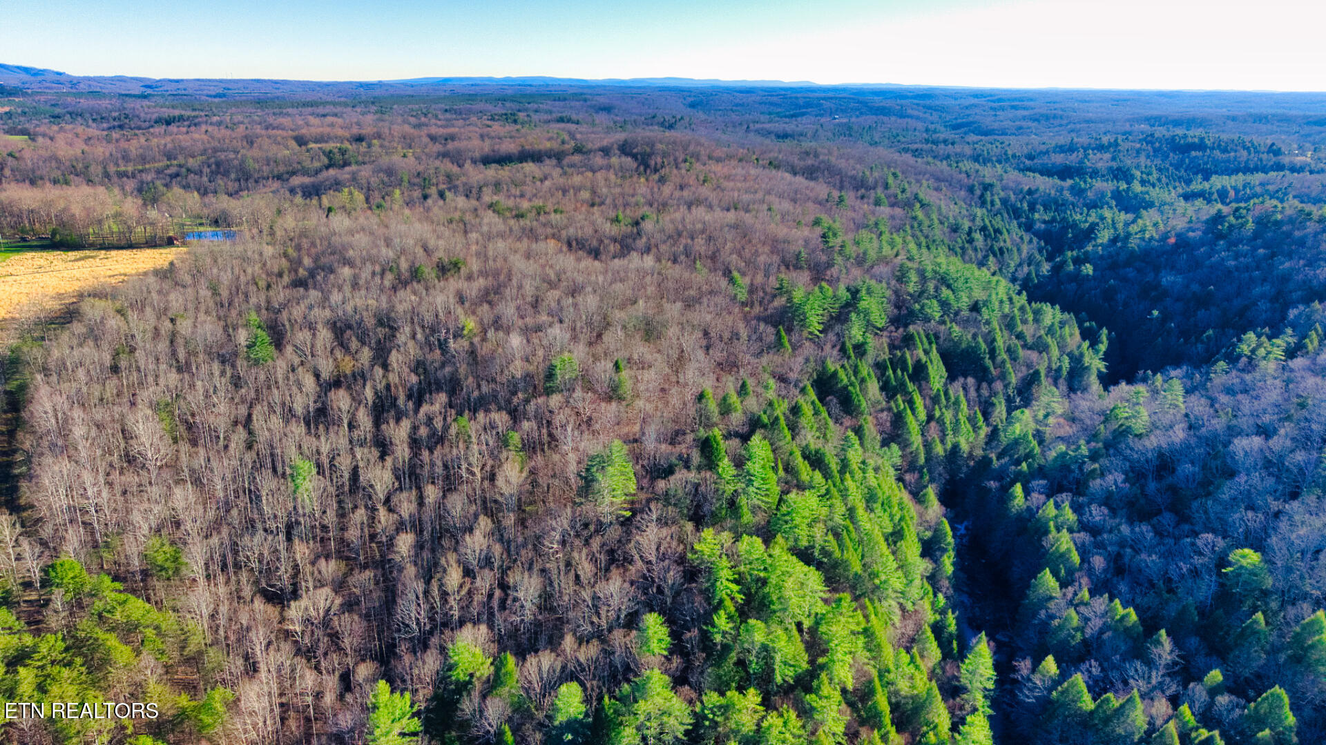 Tract 2 Ervin Brown Road Sunbright TN 37872