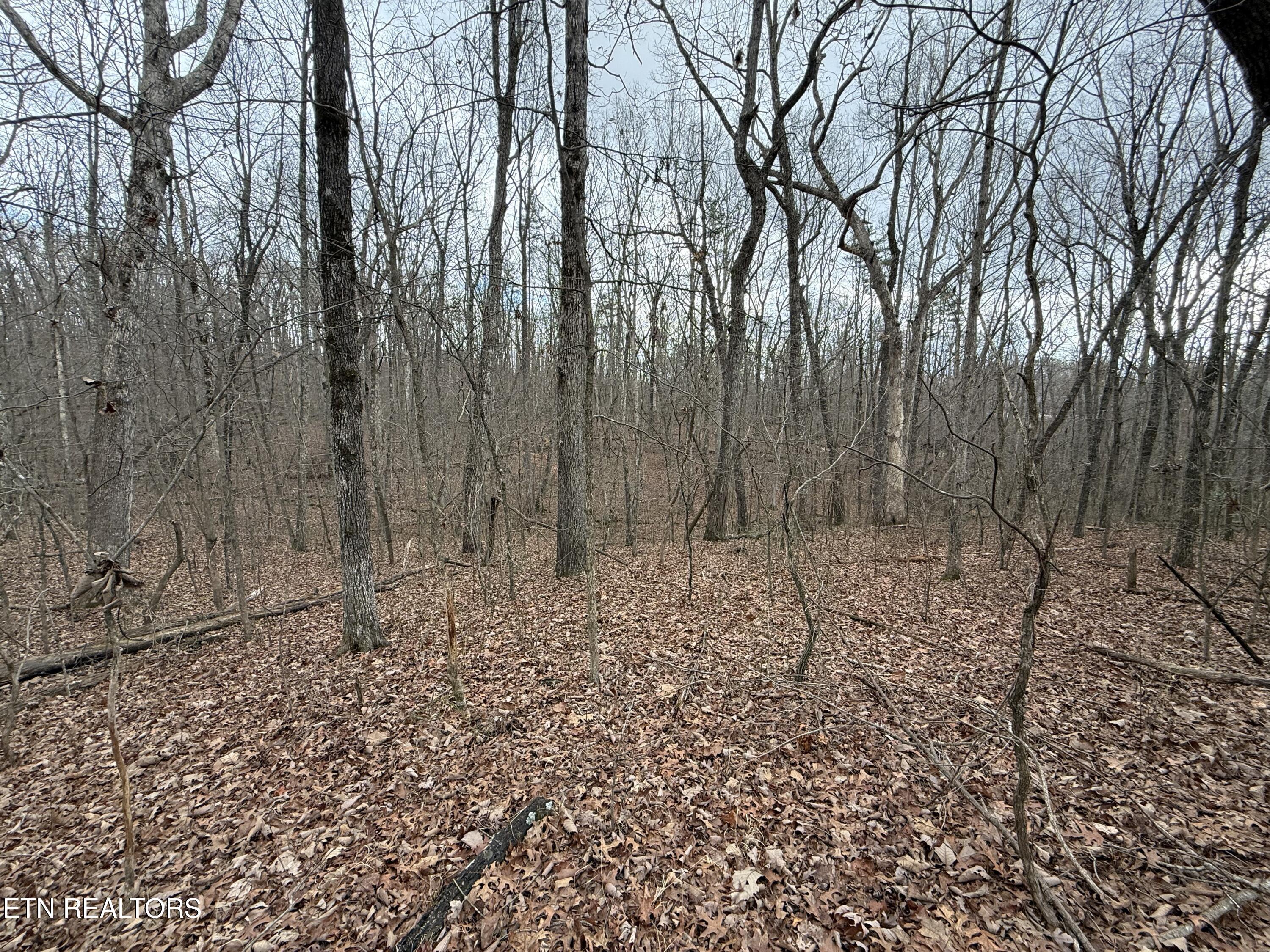 Crest Road Monterey TN 38574