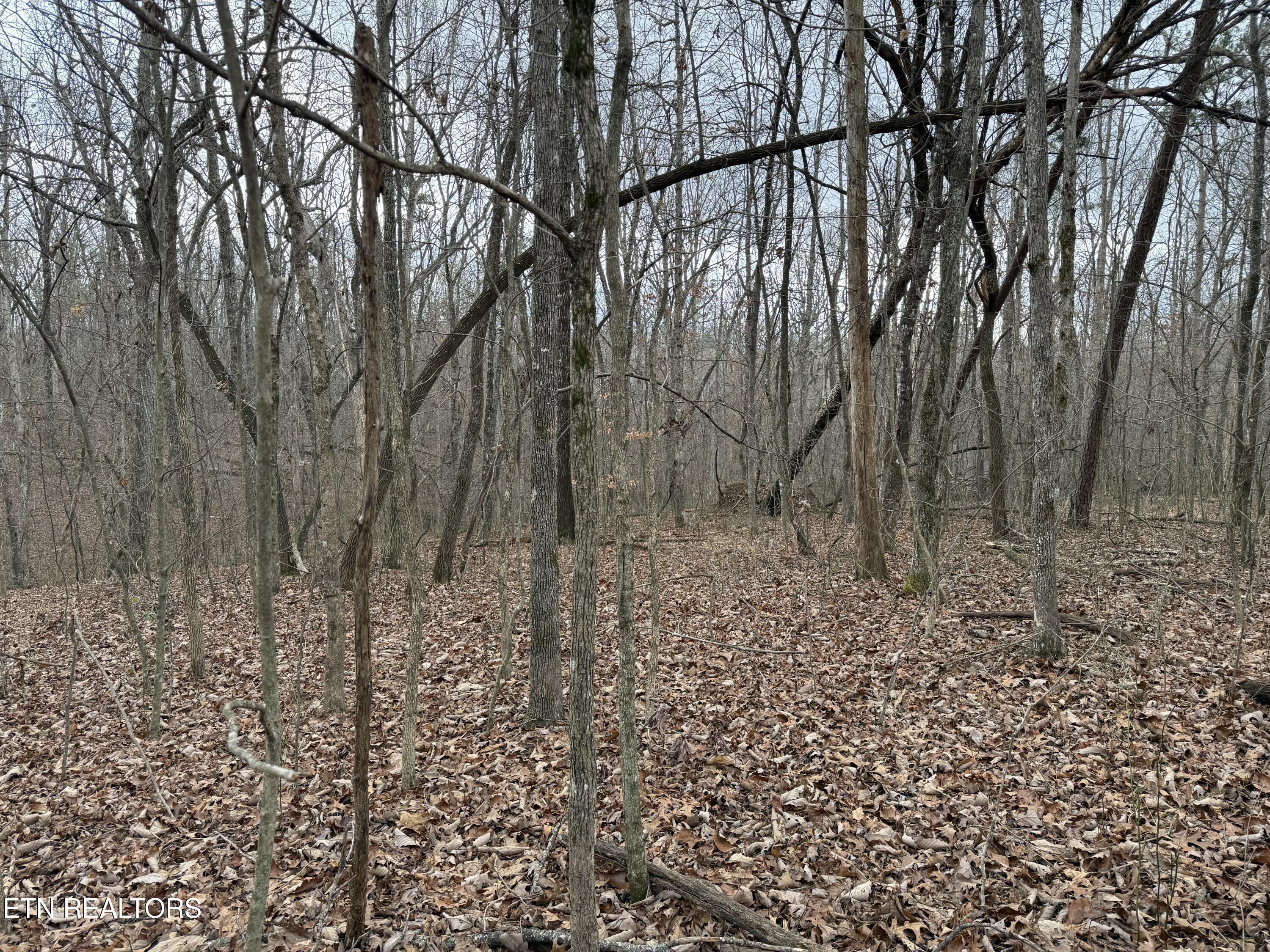 Crest Road Monterey TN 38574