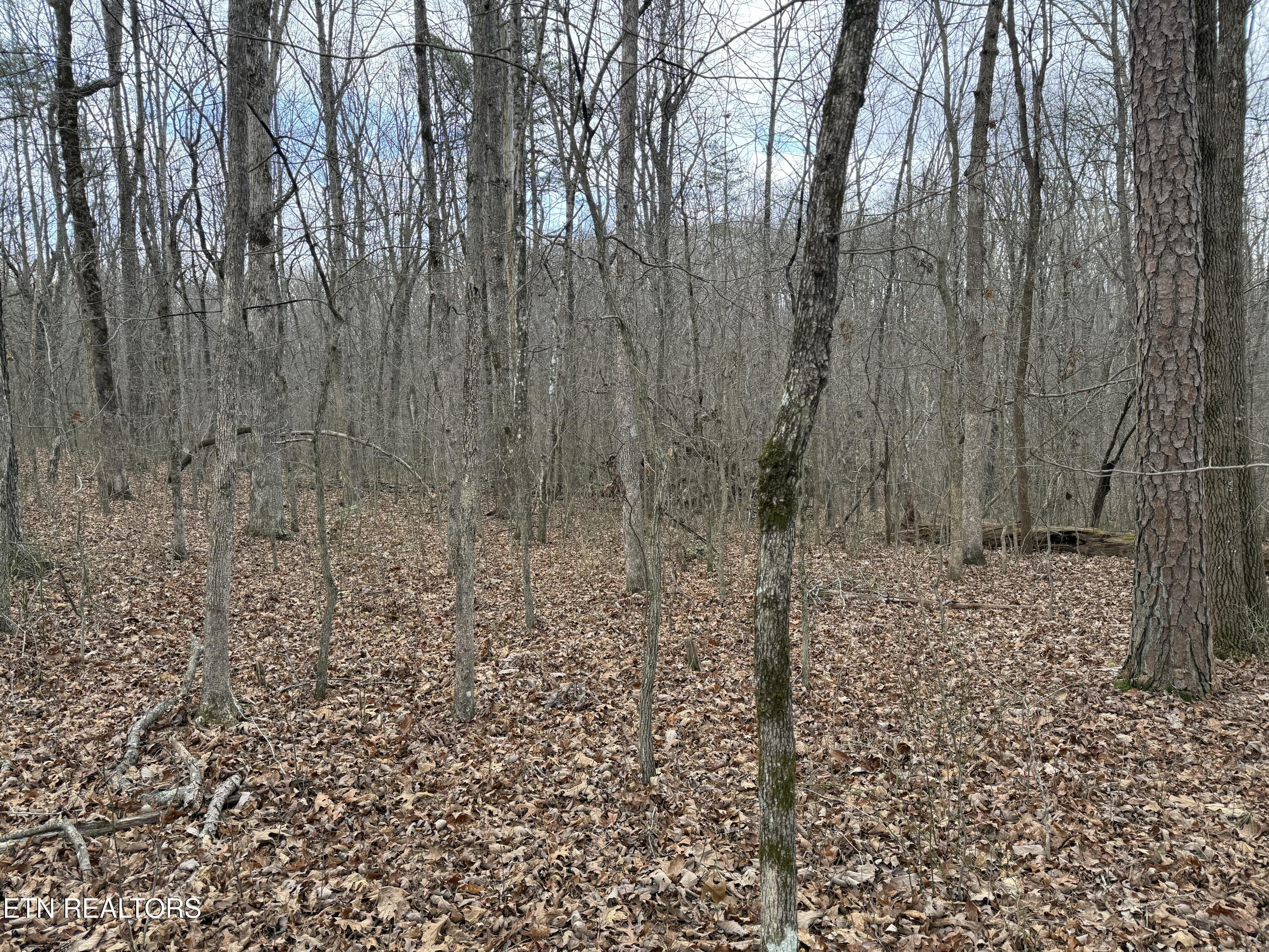Crest Road Monterey TN 38574