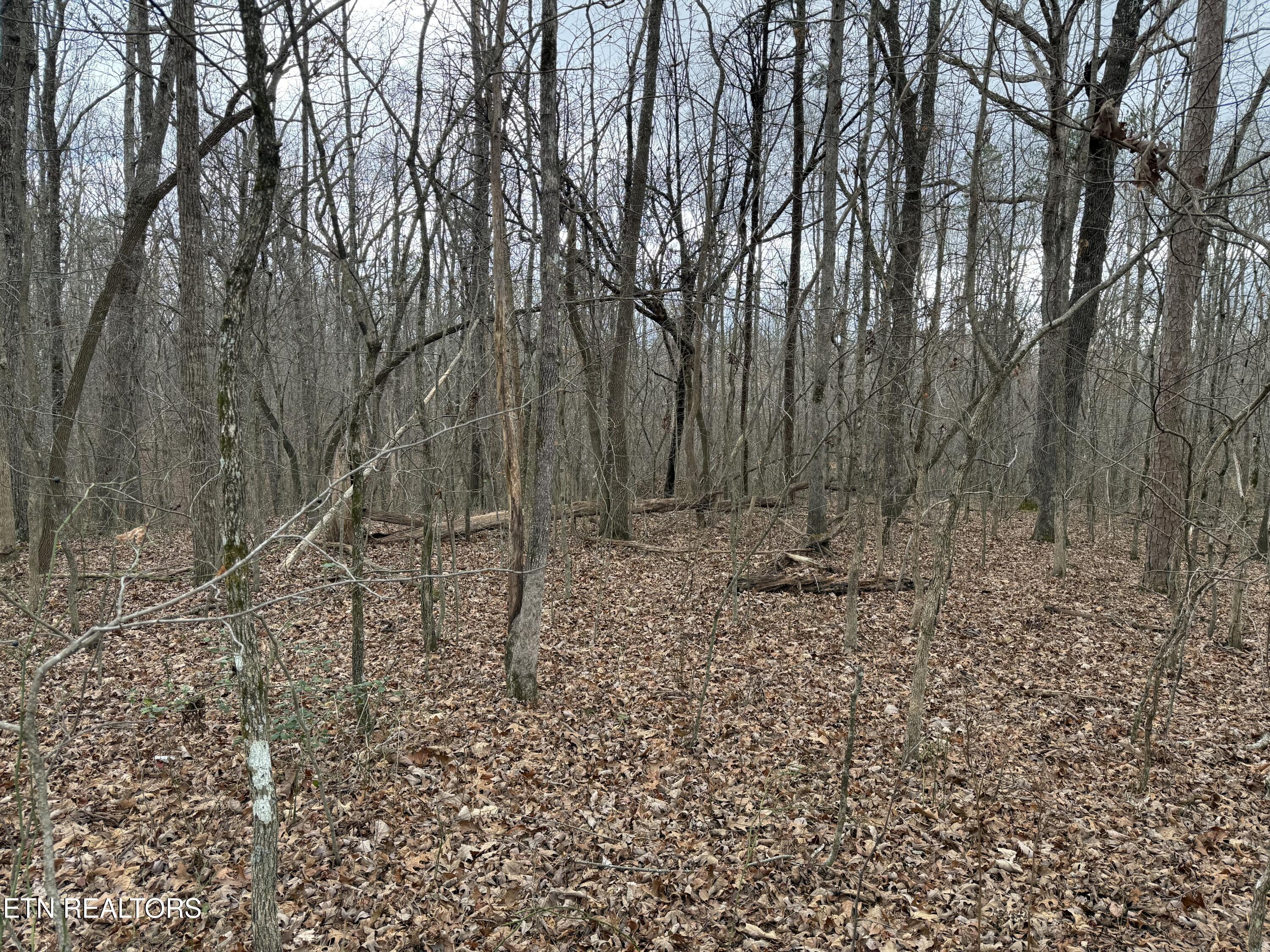 Crest Road Monterey TN 38574