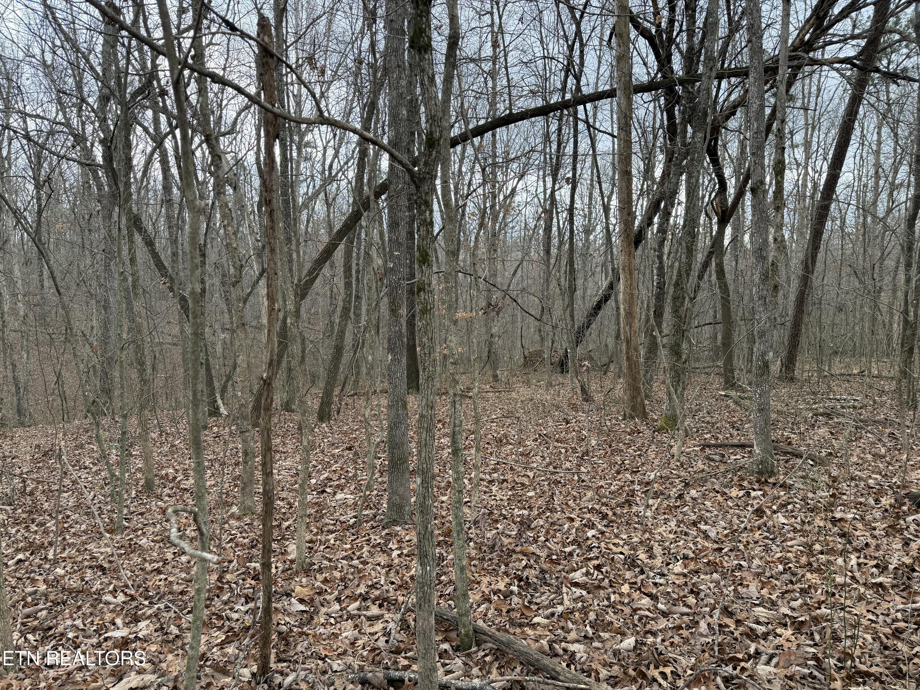 Crest Road Monterey TN 38574