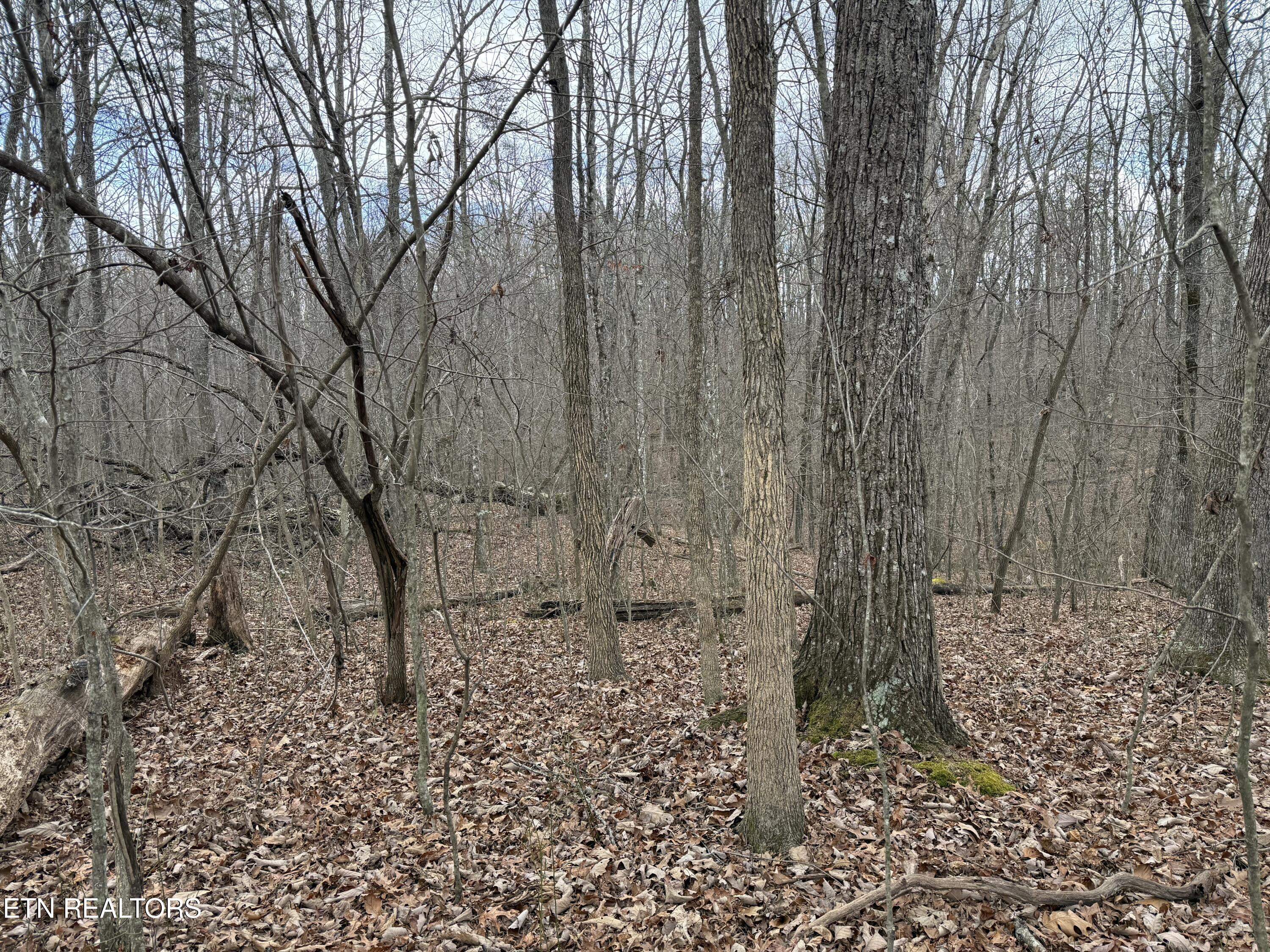 Crest Road Monterey TN 38574
