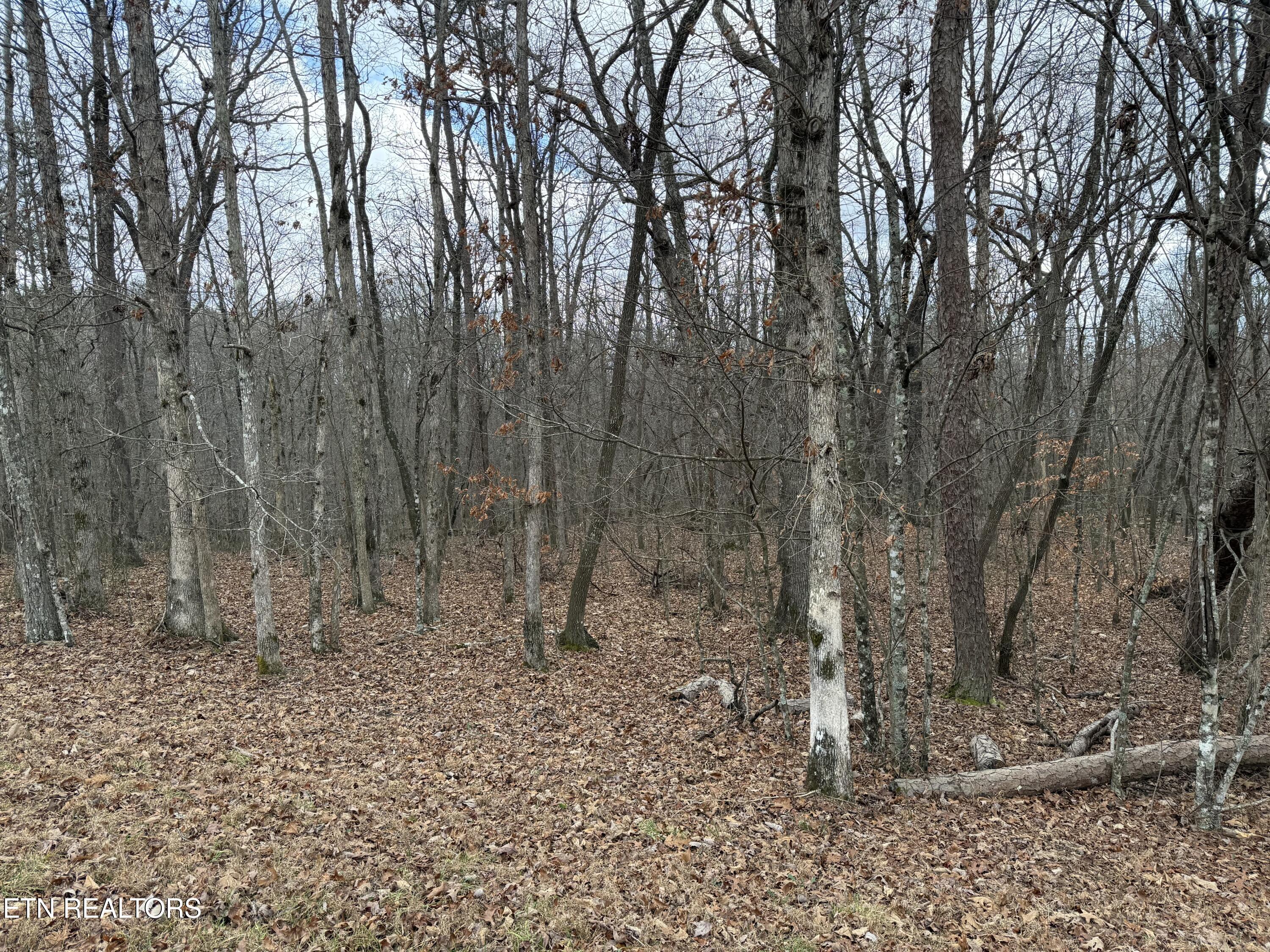 Crest Road Monterey TN 38574