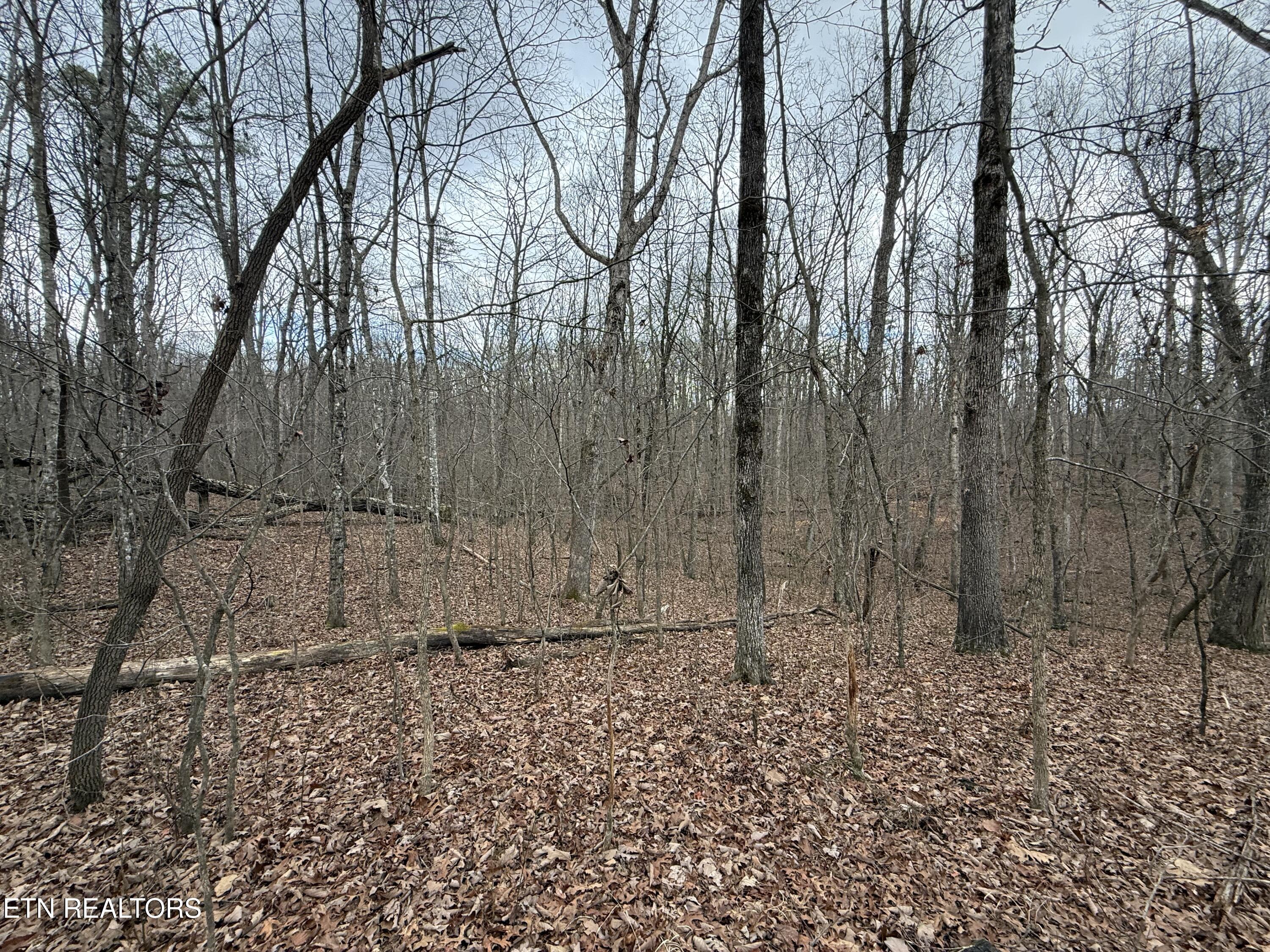 Crest Road Monterey TN 38574