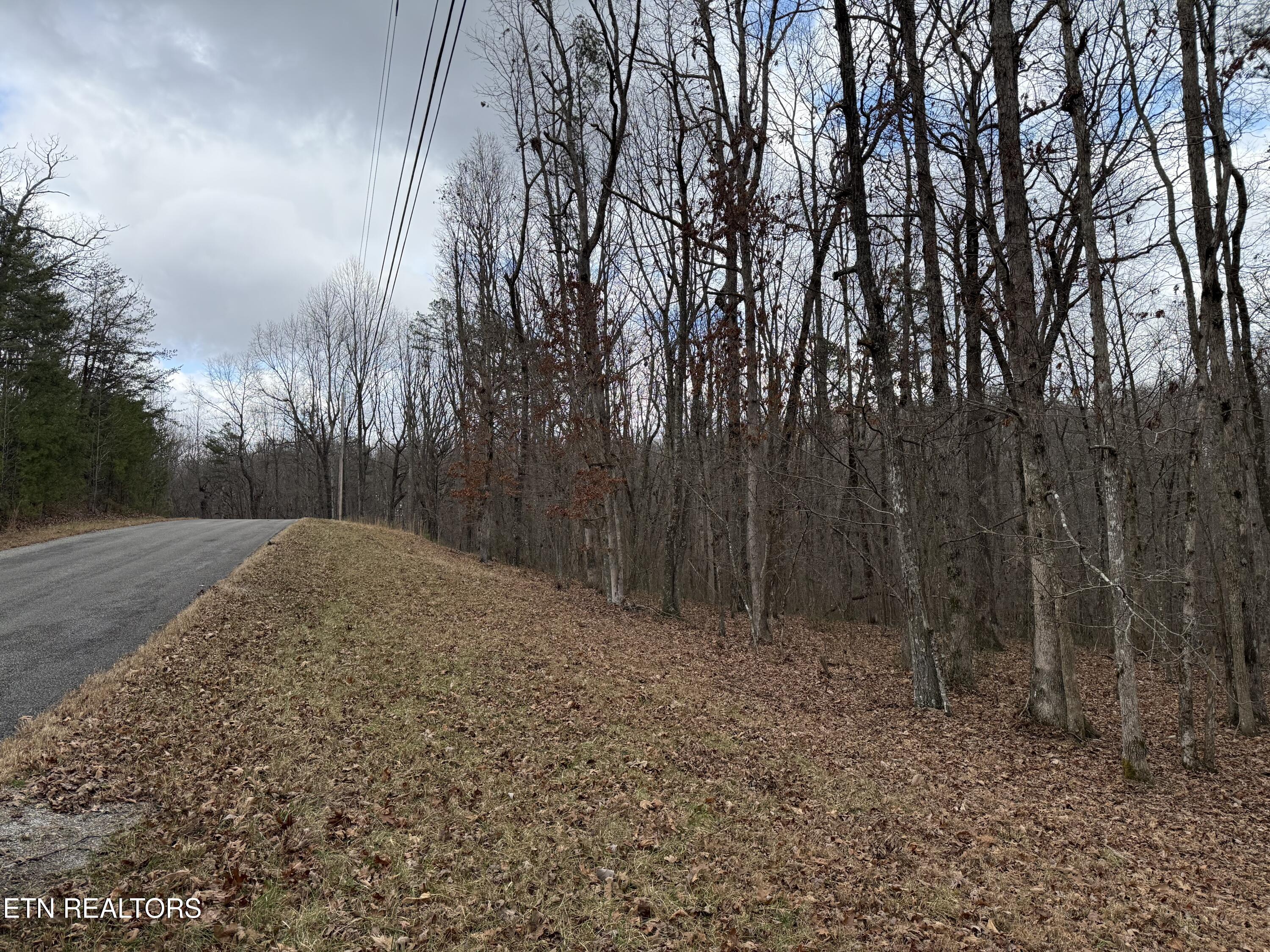 Crest Road Monterey TN 38574