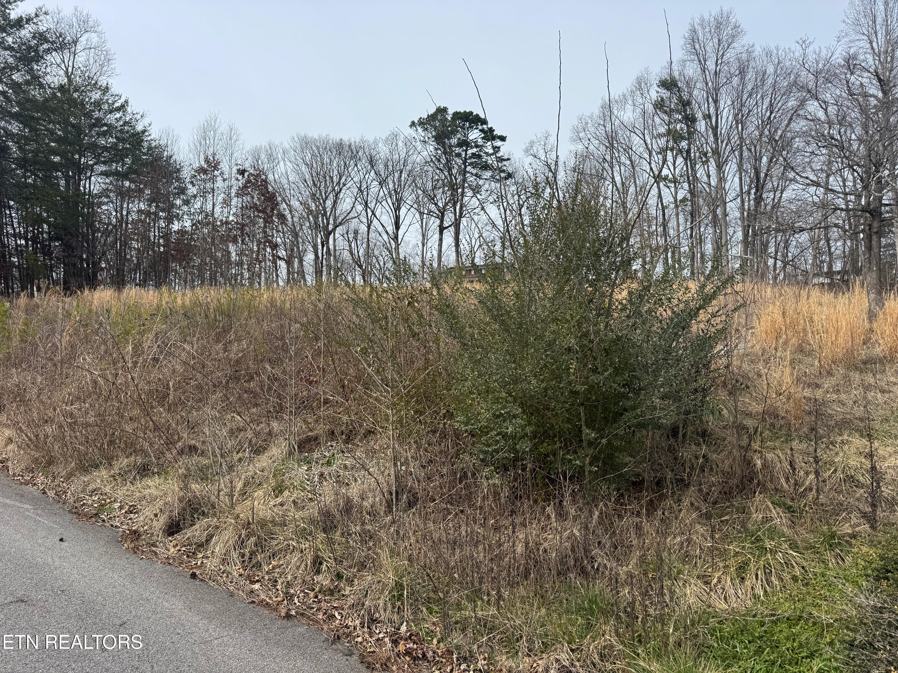 Lot 34 Pioneer Drive Seymour TN 37865