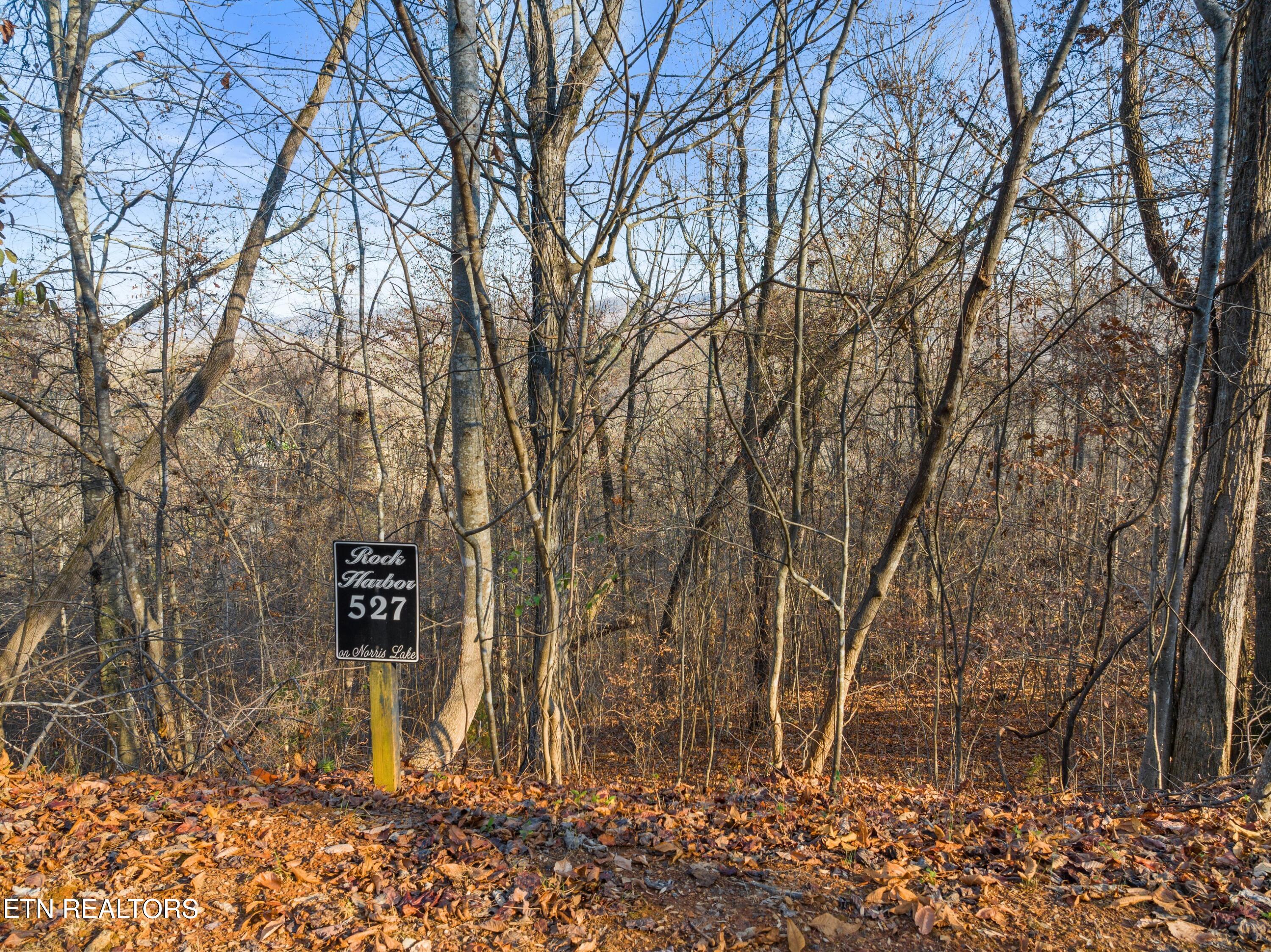 527 & 528 Garnet Trail New Tazewell TN 37825