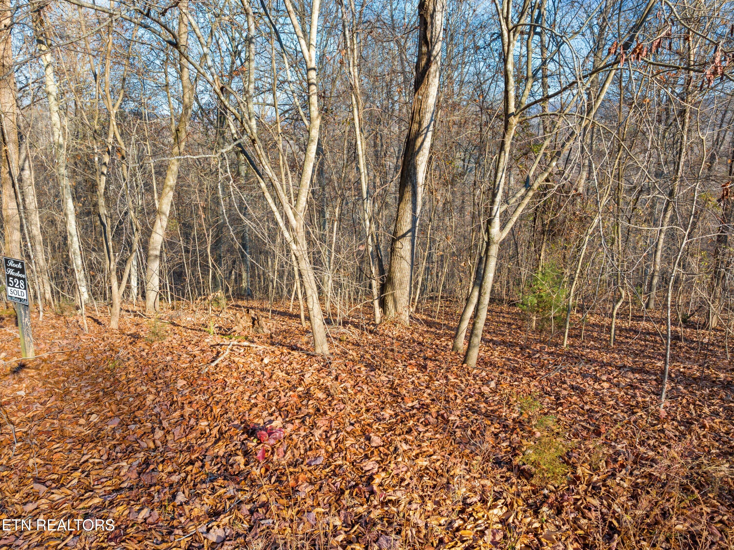 527 & 528 Garnet Trail New Tazewell TN 37825