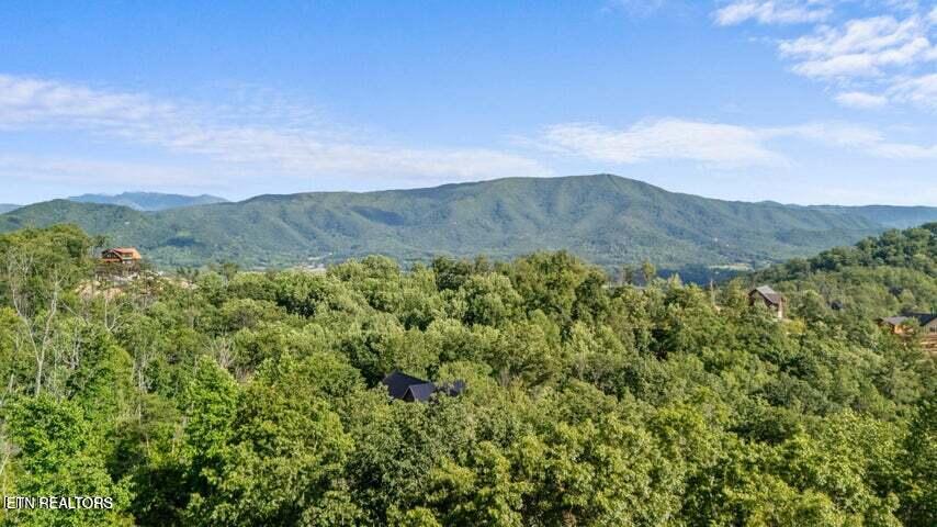 Spurling Road Lot 47 Road Sevierville TN 37862