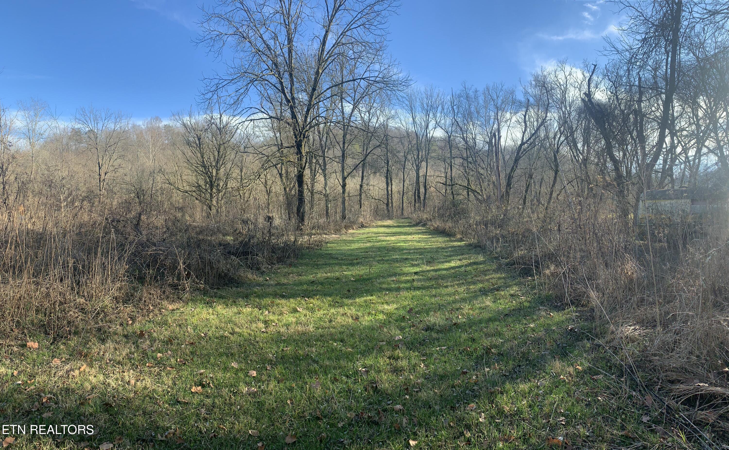 420 Winding Ridge Trail Seymour TN 37865